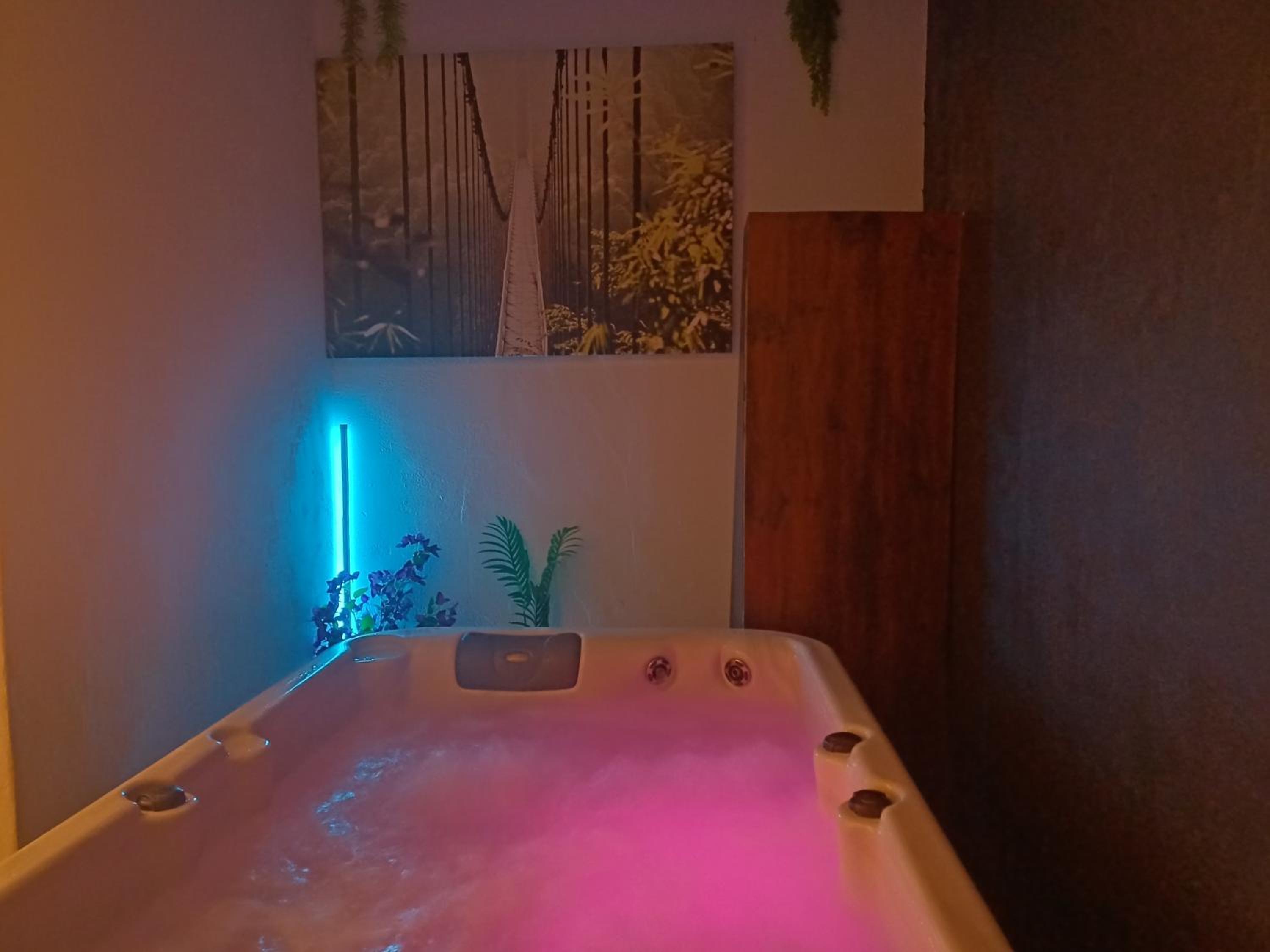 Maison avec jacuzzi, photo 2