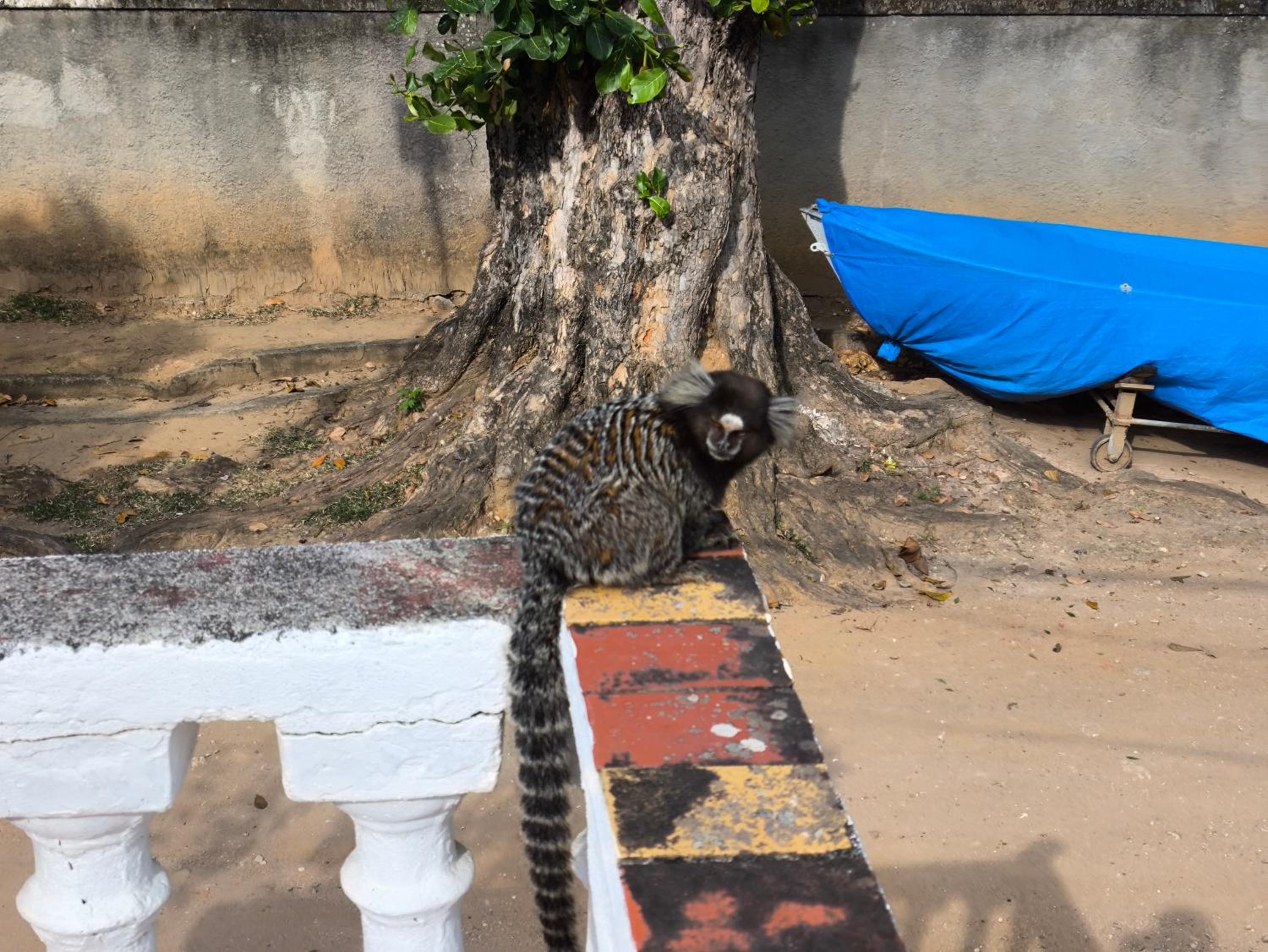 Paquetá: 2 quartos - AC , Wi-Fi e Churrasqueira!