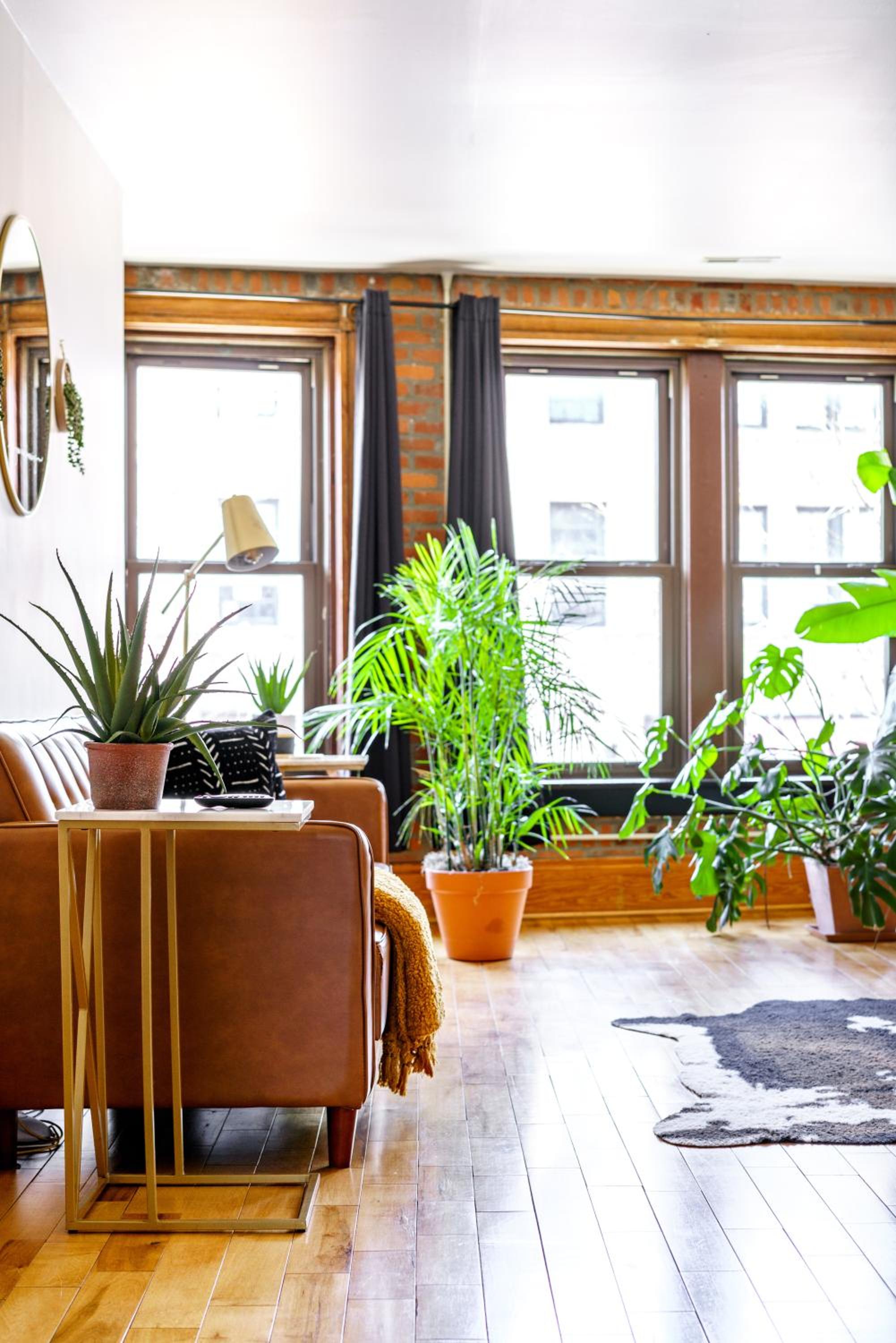 Jungle House Luxury Homes - Columbus Downtown Short North - Walk to Convention Center & Nationwide Arena - Sleeps up to 10 - Free Parking - Over 5,800 Five