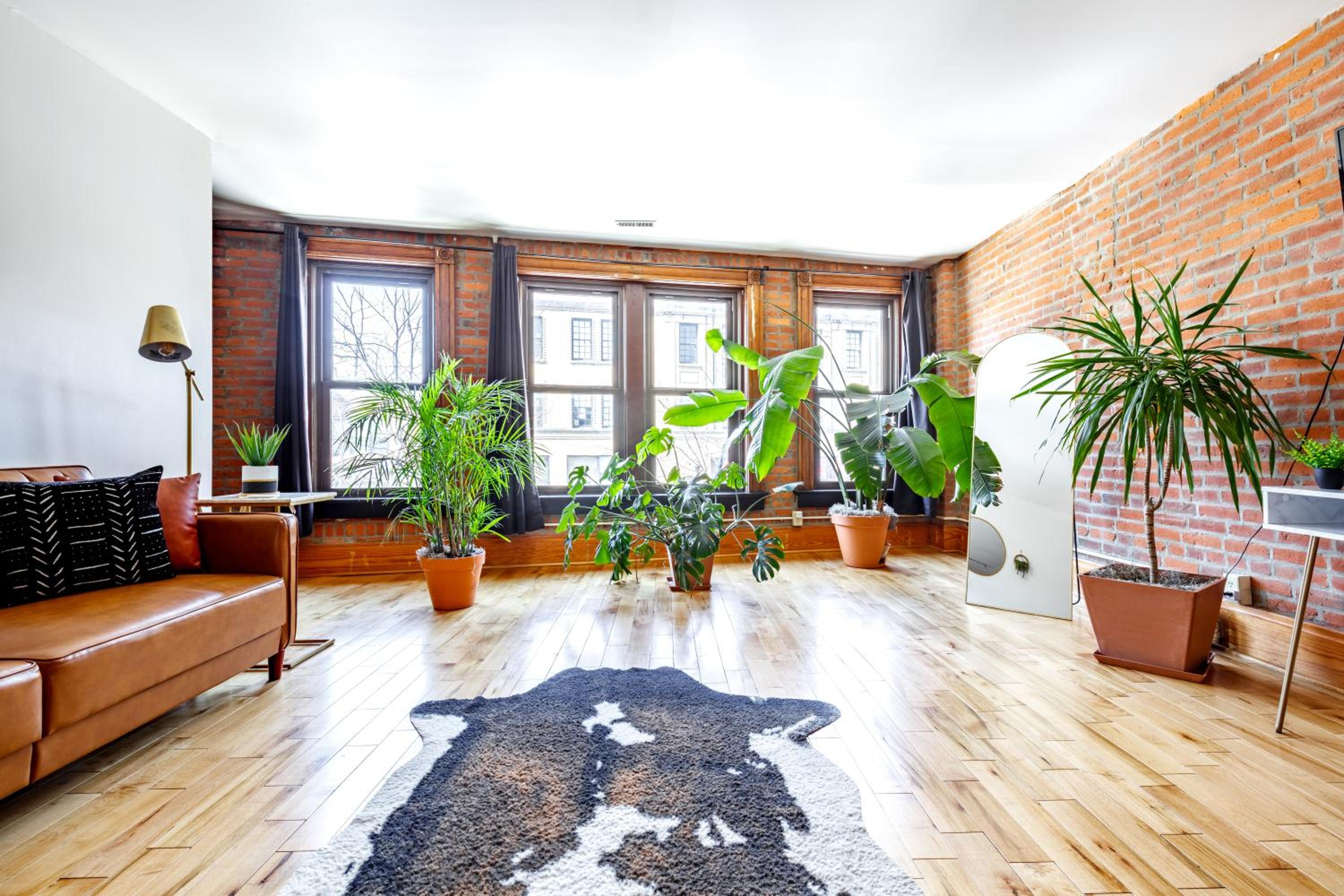 Jungle House Luxury Homes - Columbus Downtown Short North - Walk to Convention Center & Nationwide Arena - Sleeps up to 10 - Free Parking - Over 5,800 Five