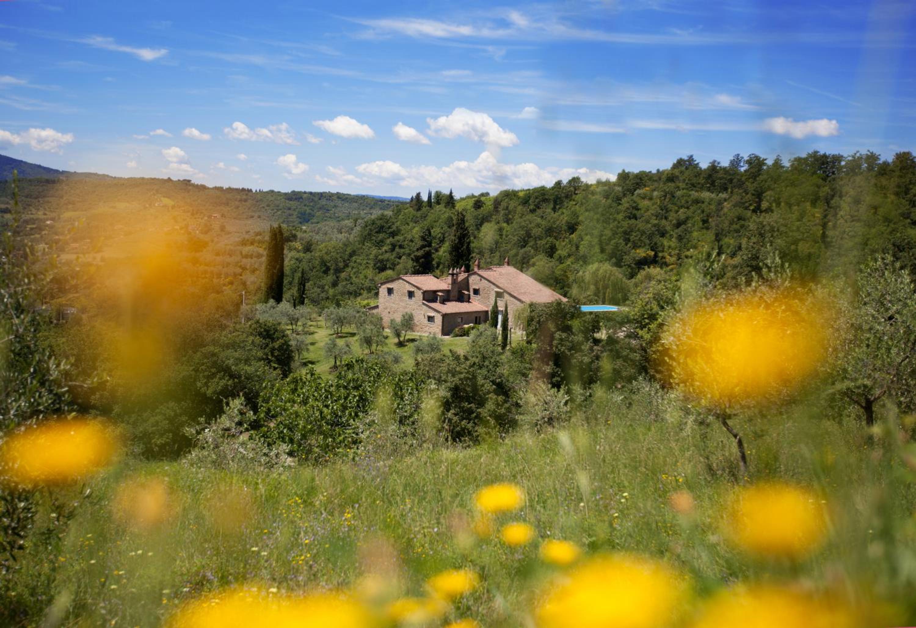 Allegro Agriturismo Argiano