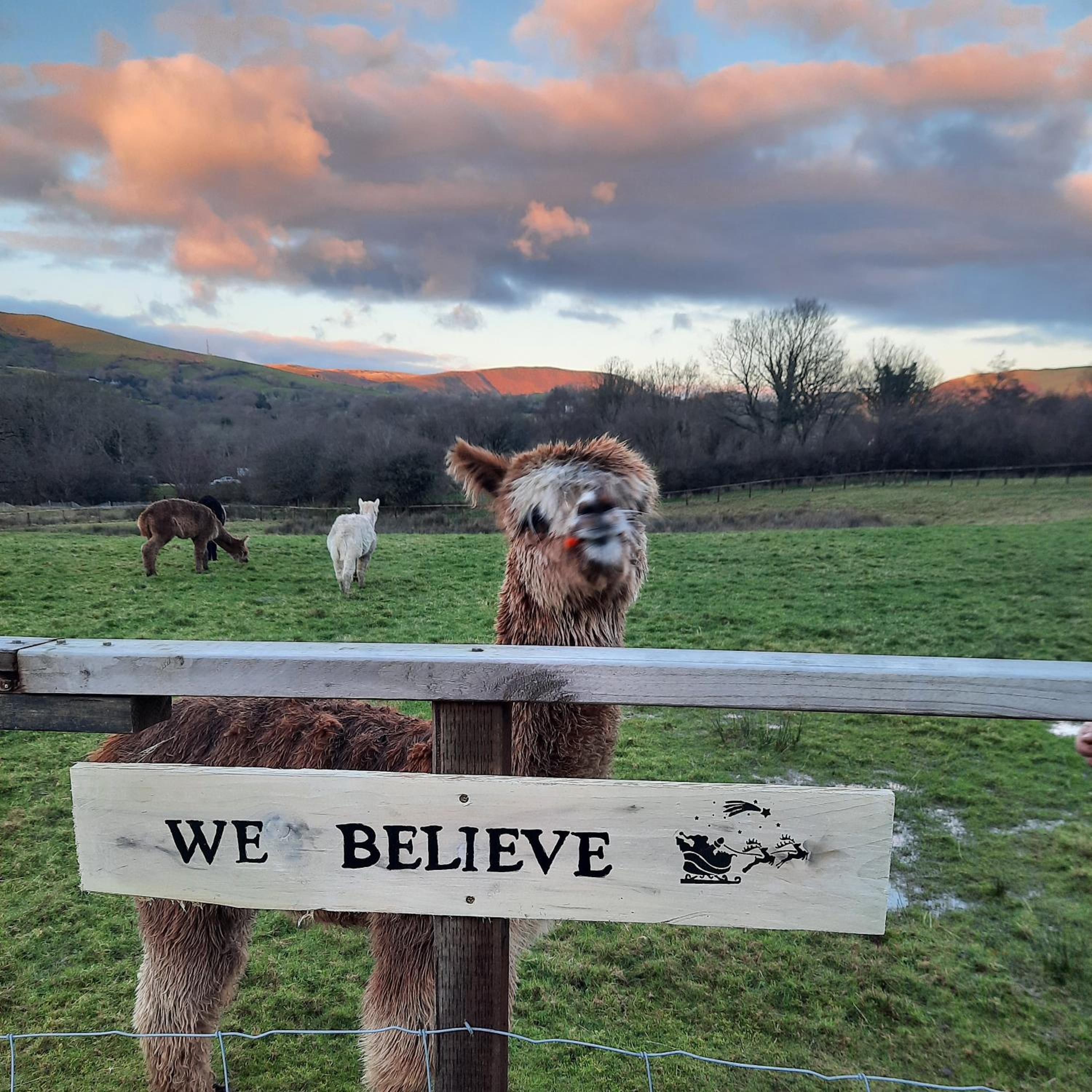 Alpaca cabin-mountain view-hot tub-rural retreat