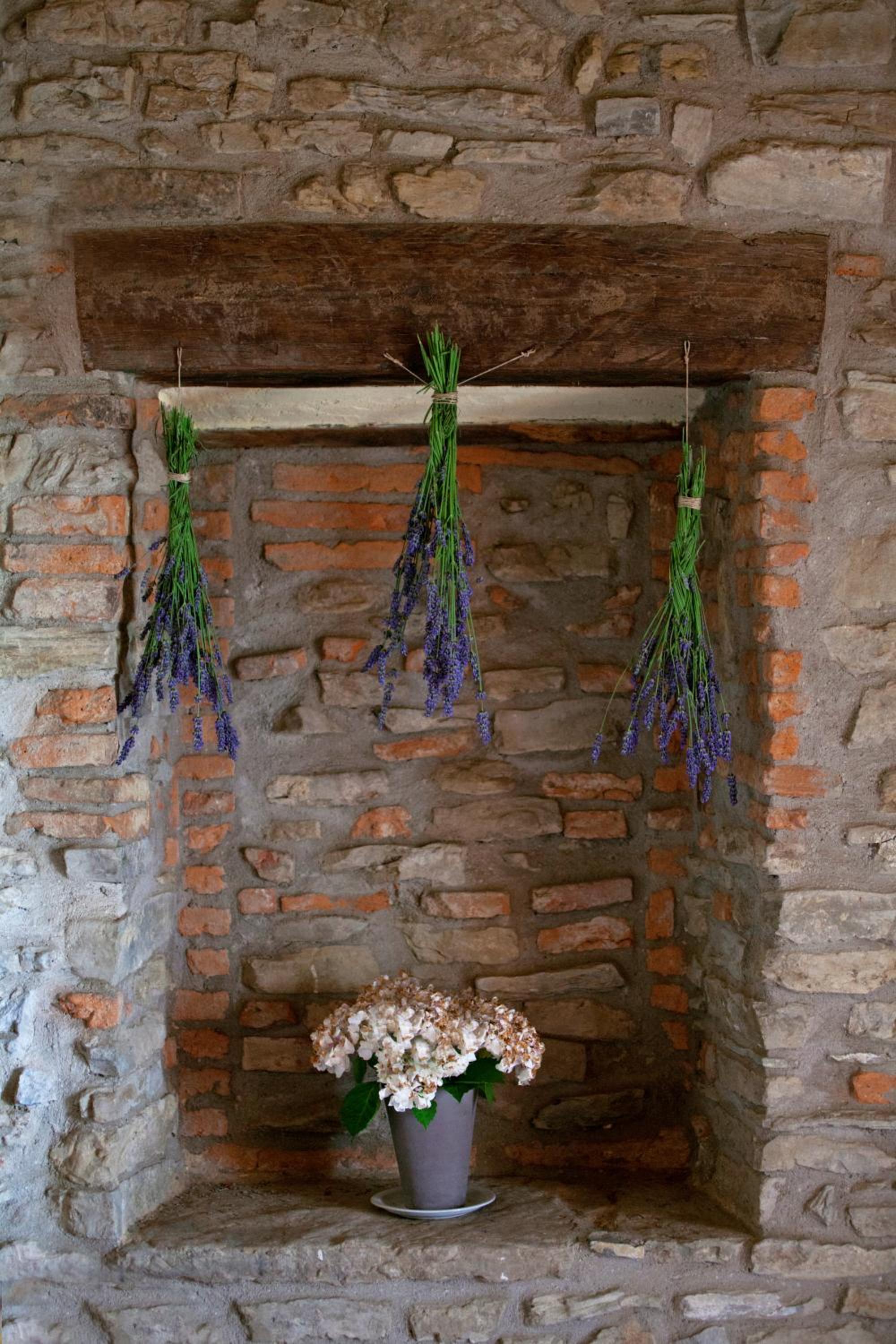 Allegro Agriturismo Argiano