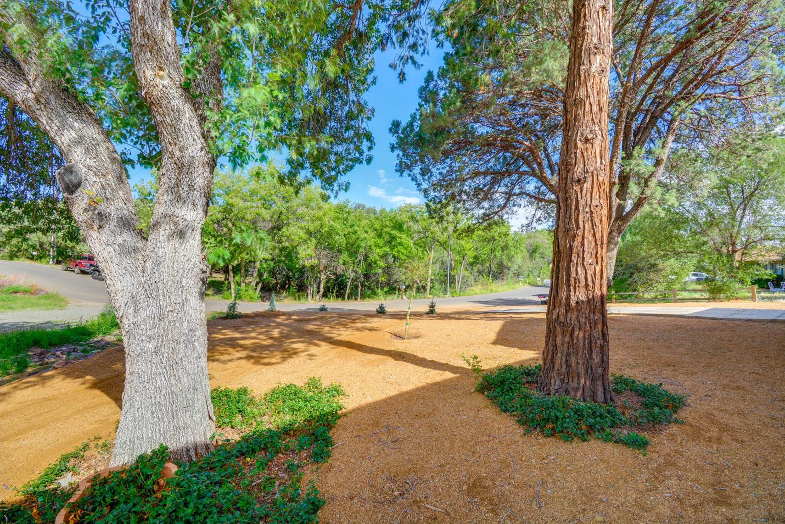 Dog Friendly! Peaceful Wooded Retreat in Prescott