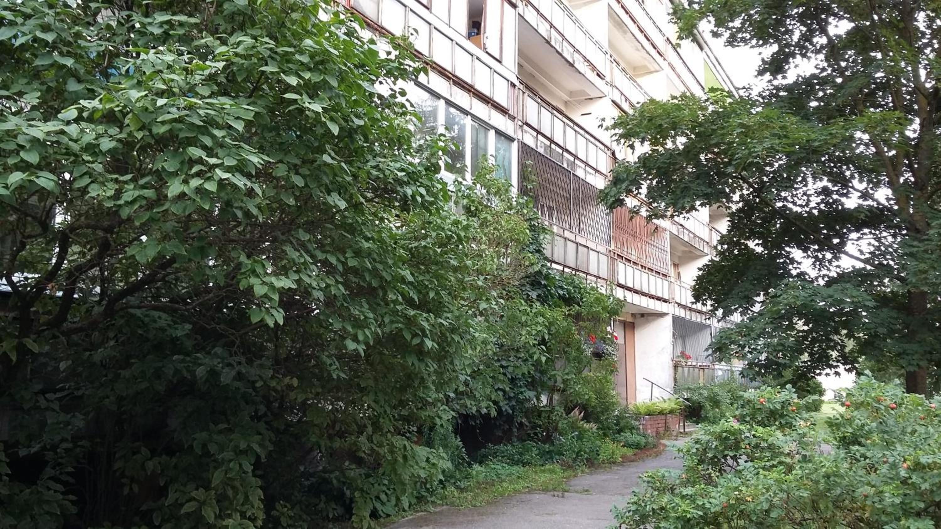 Sunny Apartment