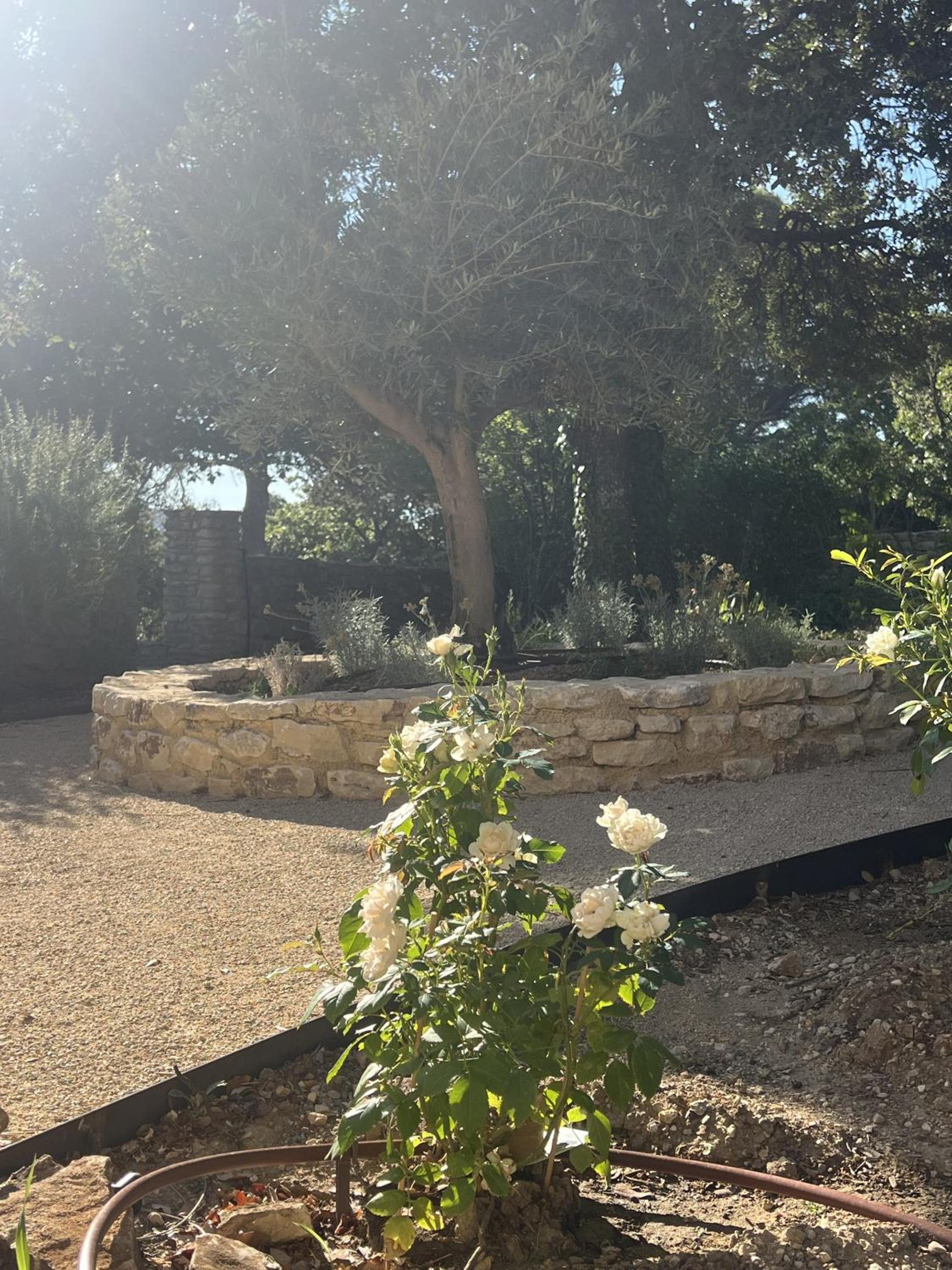 La Villa des Cedres