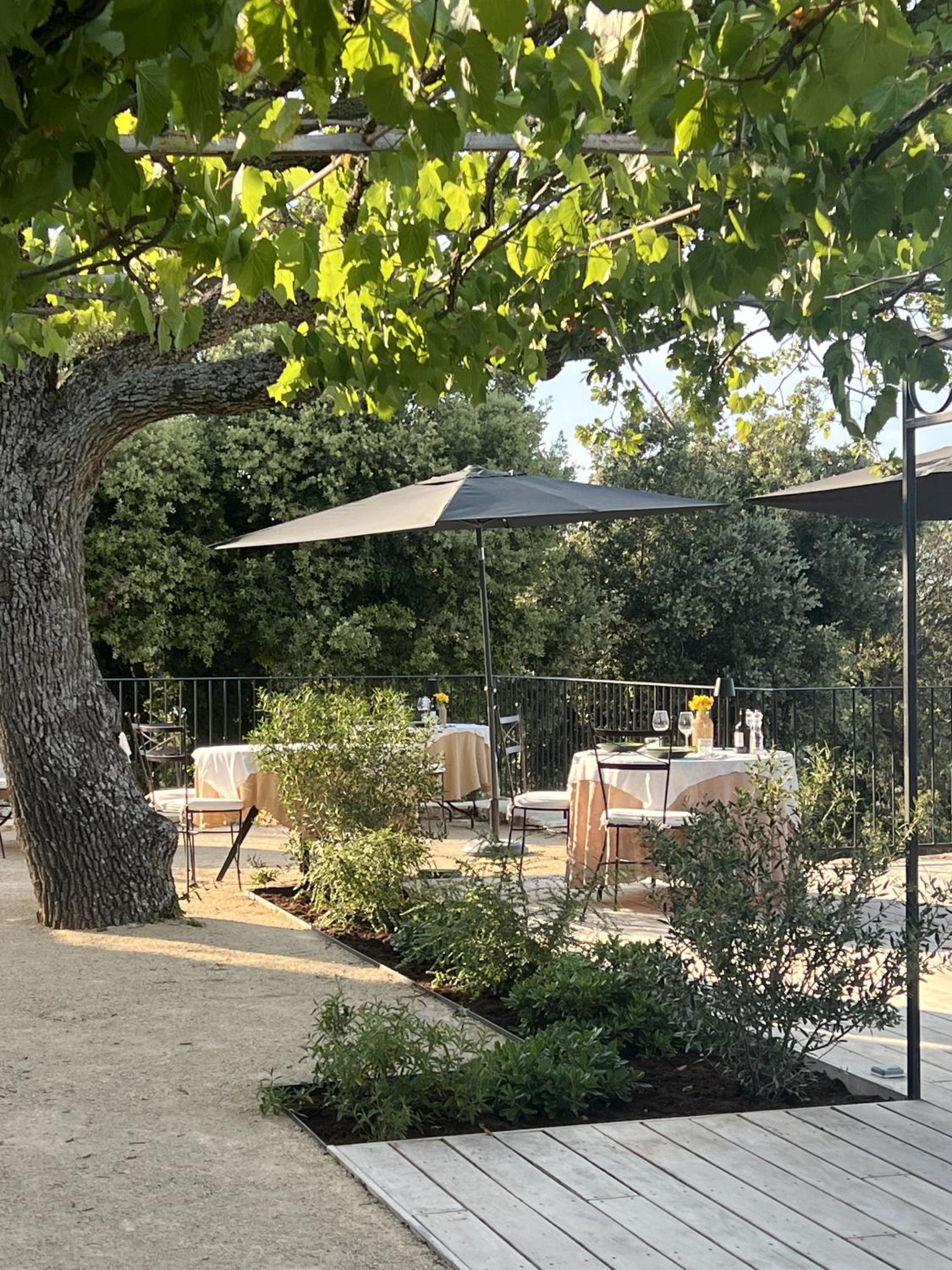 La Villa des Cedres