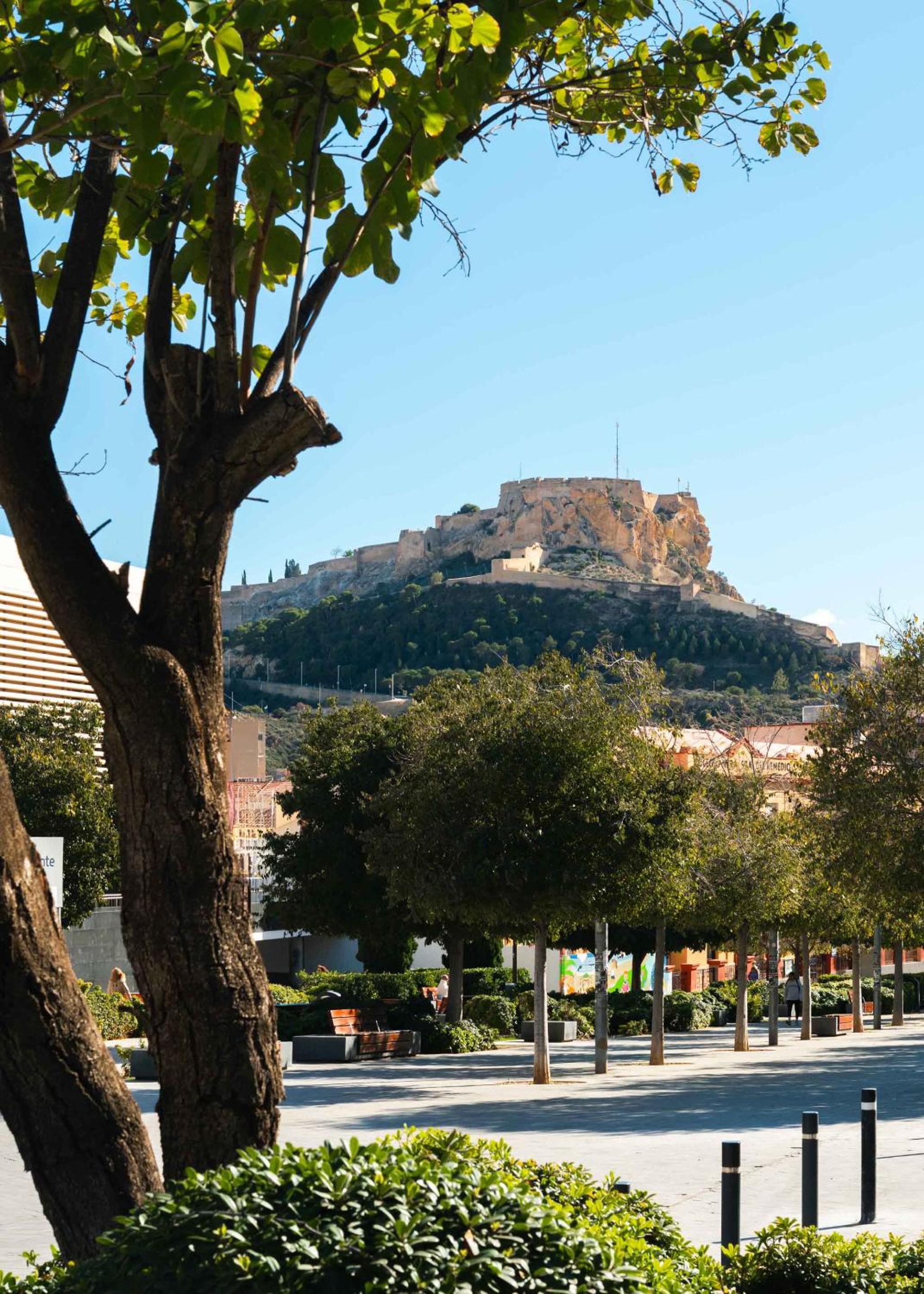 Limehome Alicante Avinguda de Jijona