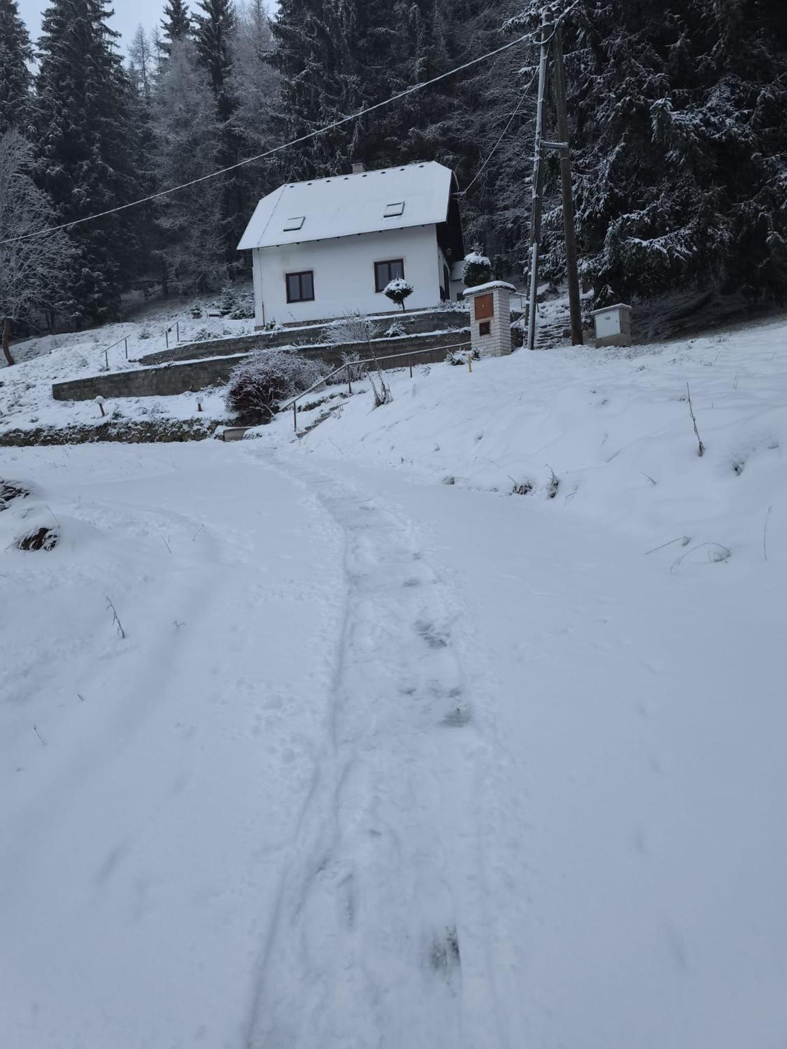 The House Next to the Forest - LAKMAT