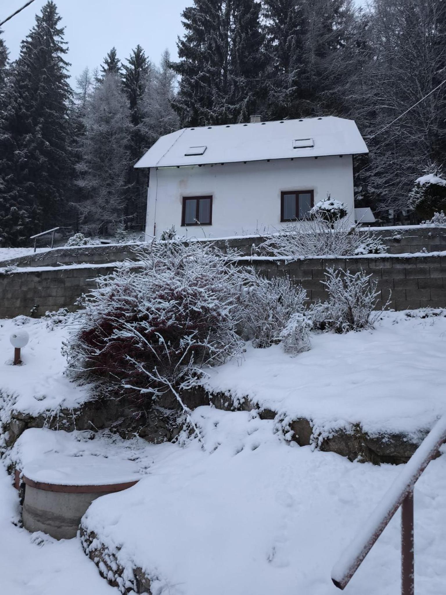 The House Next to the Forest - LAKMAT