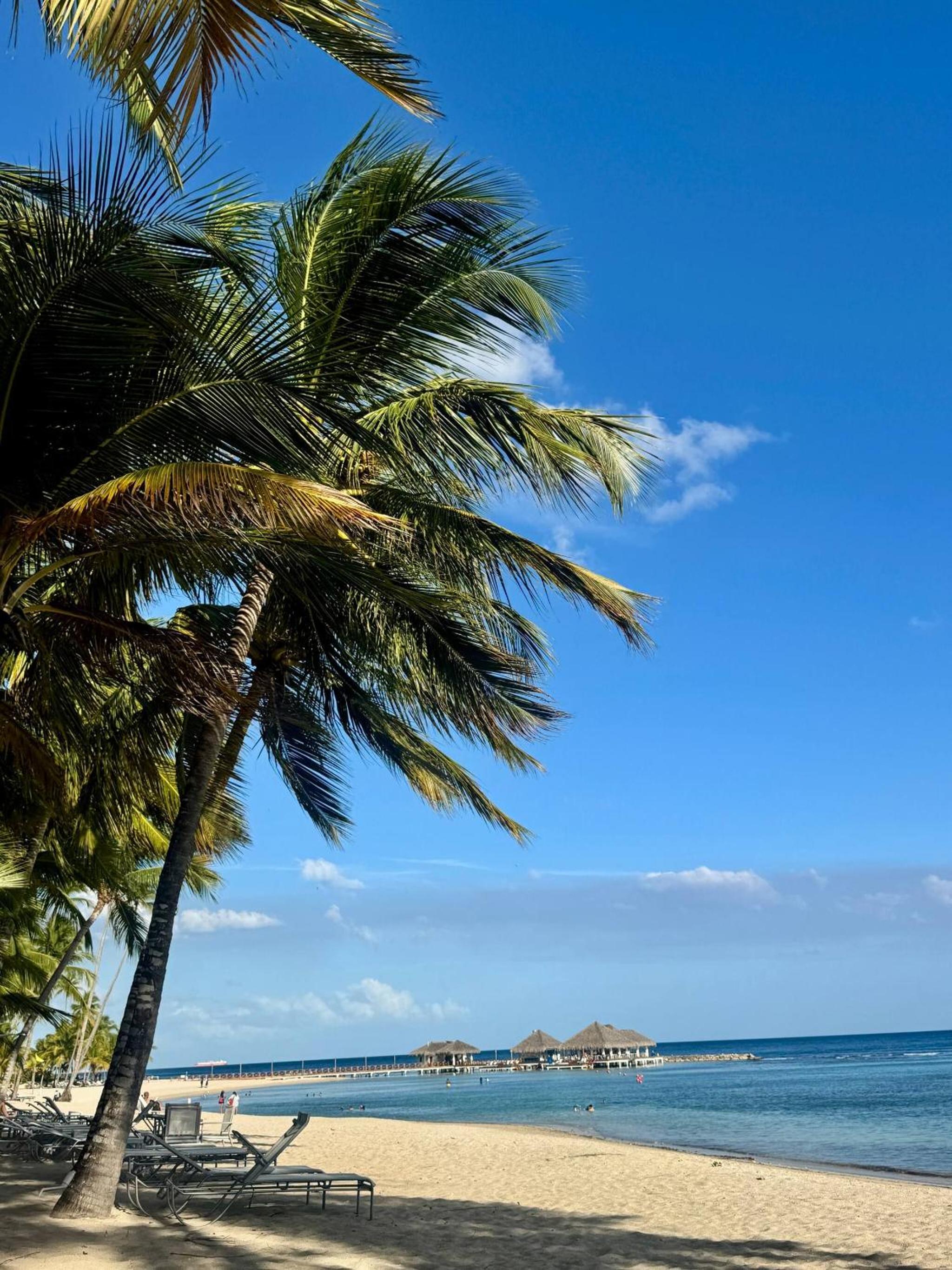 JuanDolio Penthouse 3 bedrooms Beachfront frente a hemingway