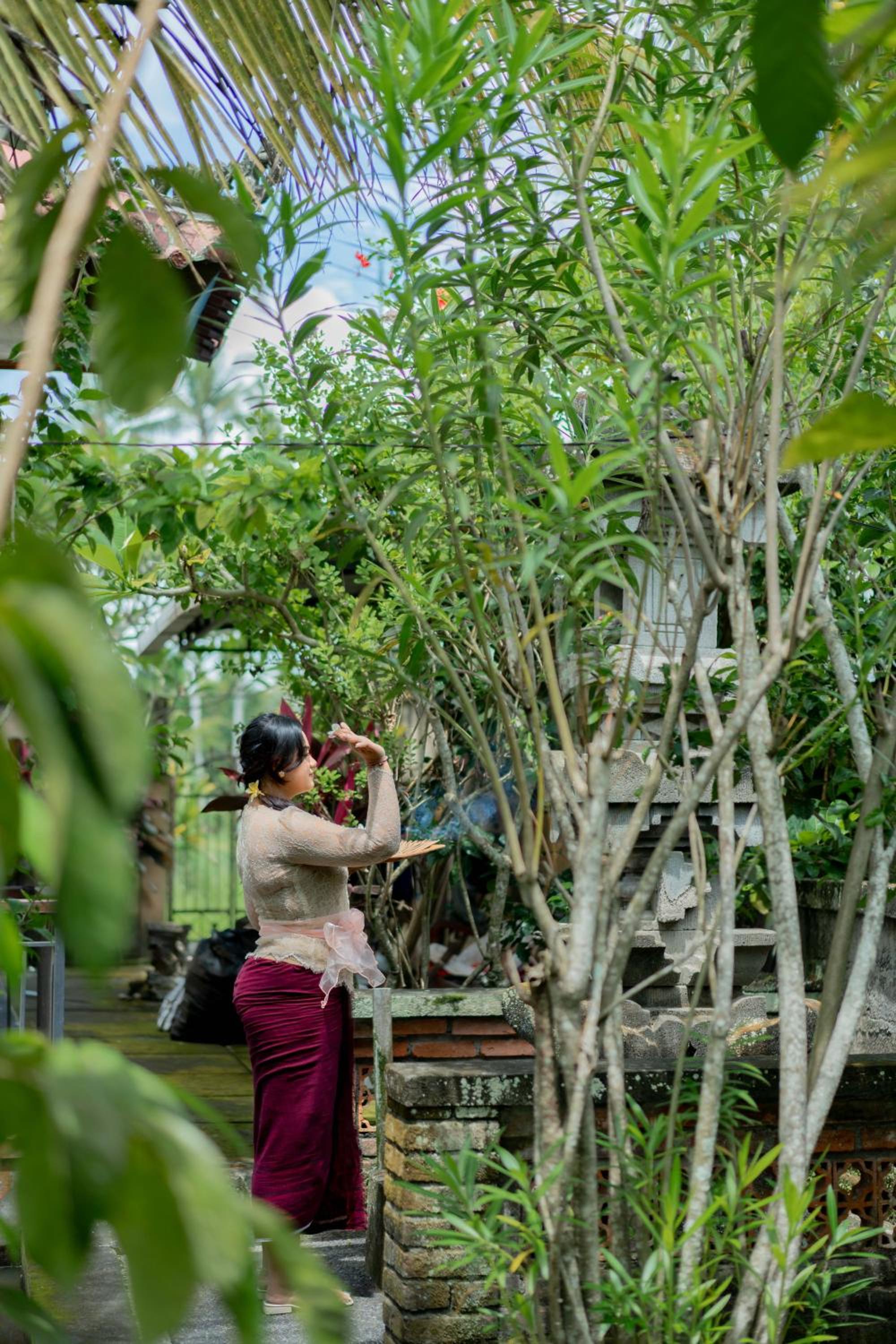 Pondok Ayu Soca Ubud