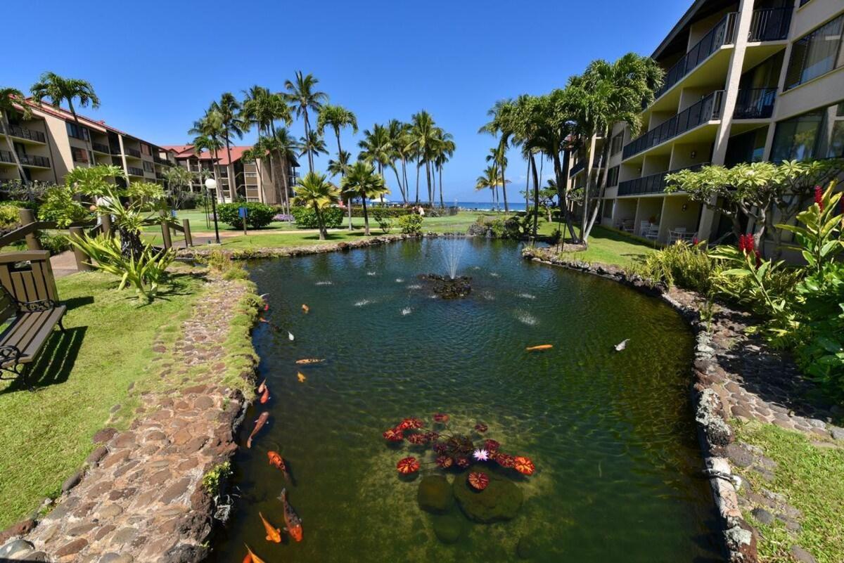 Papakea L108 · PK L108 Remodeled OceanFront 1BD