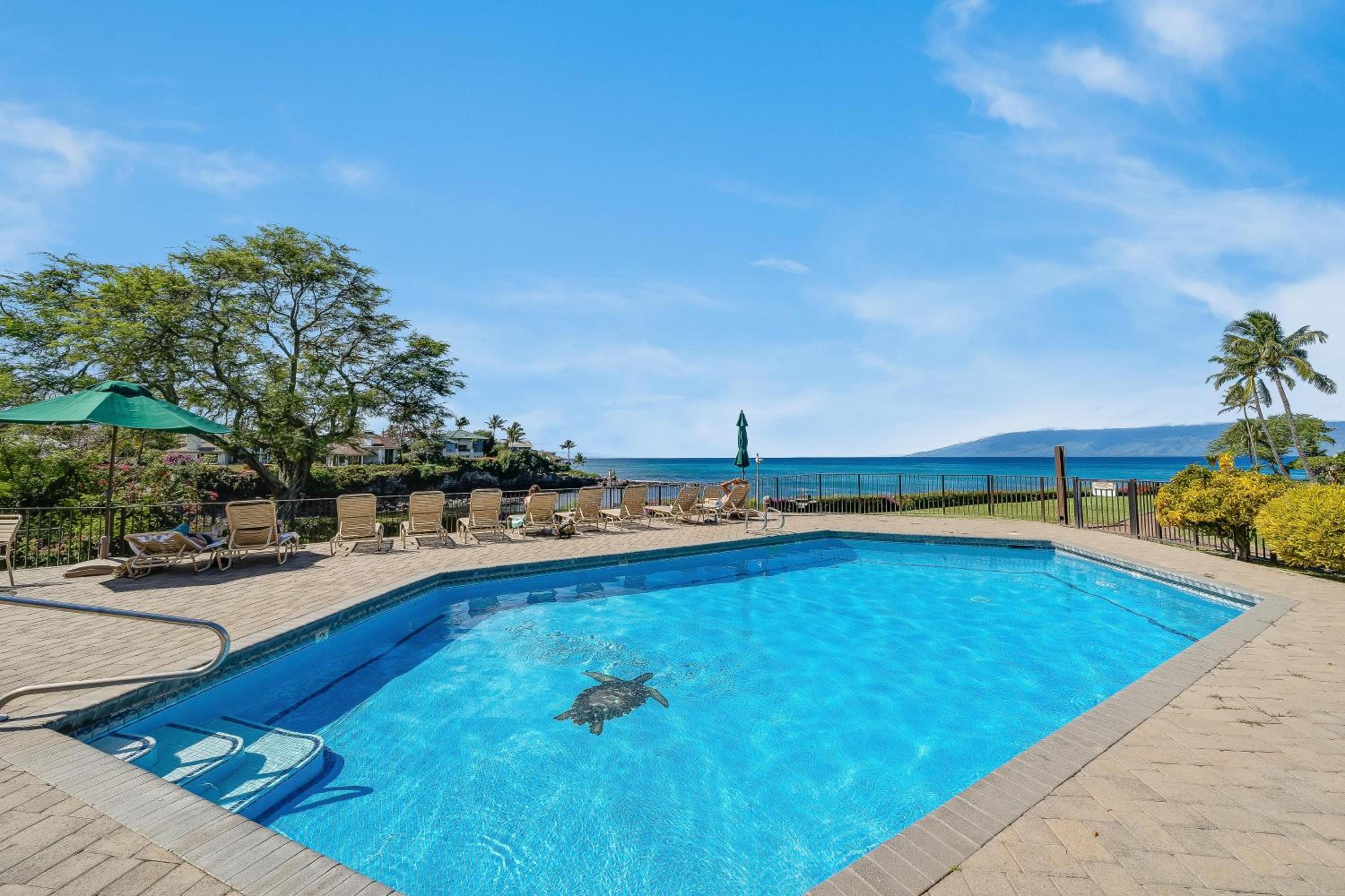 Napili Point C22 · NP C22 Oceanfront Views from 2BD West Maui Co
