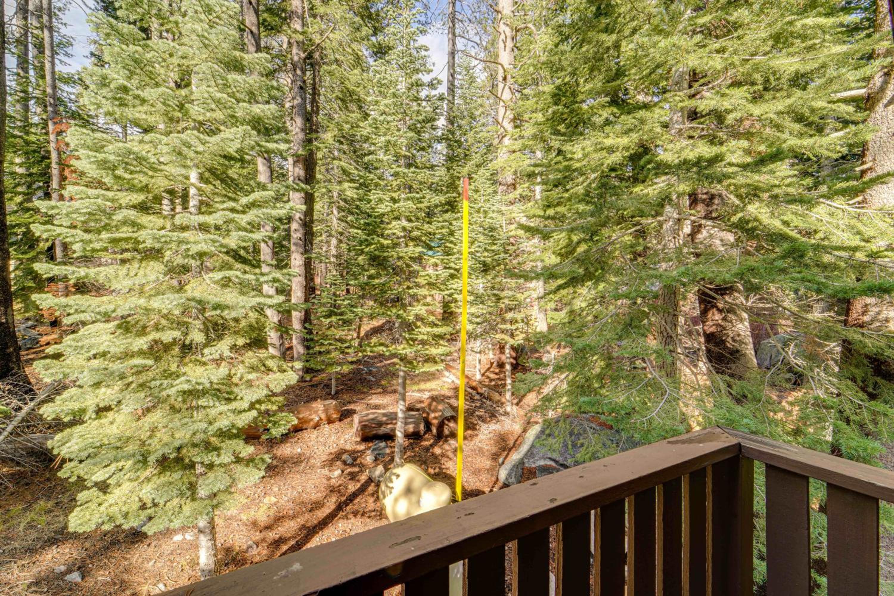 Near Slopes, Donner Lake and Trails! Woodsy Retreat