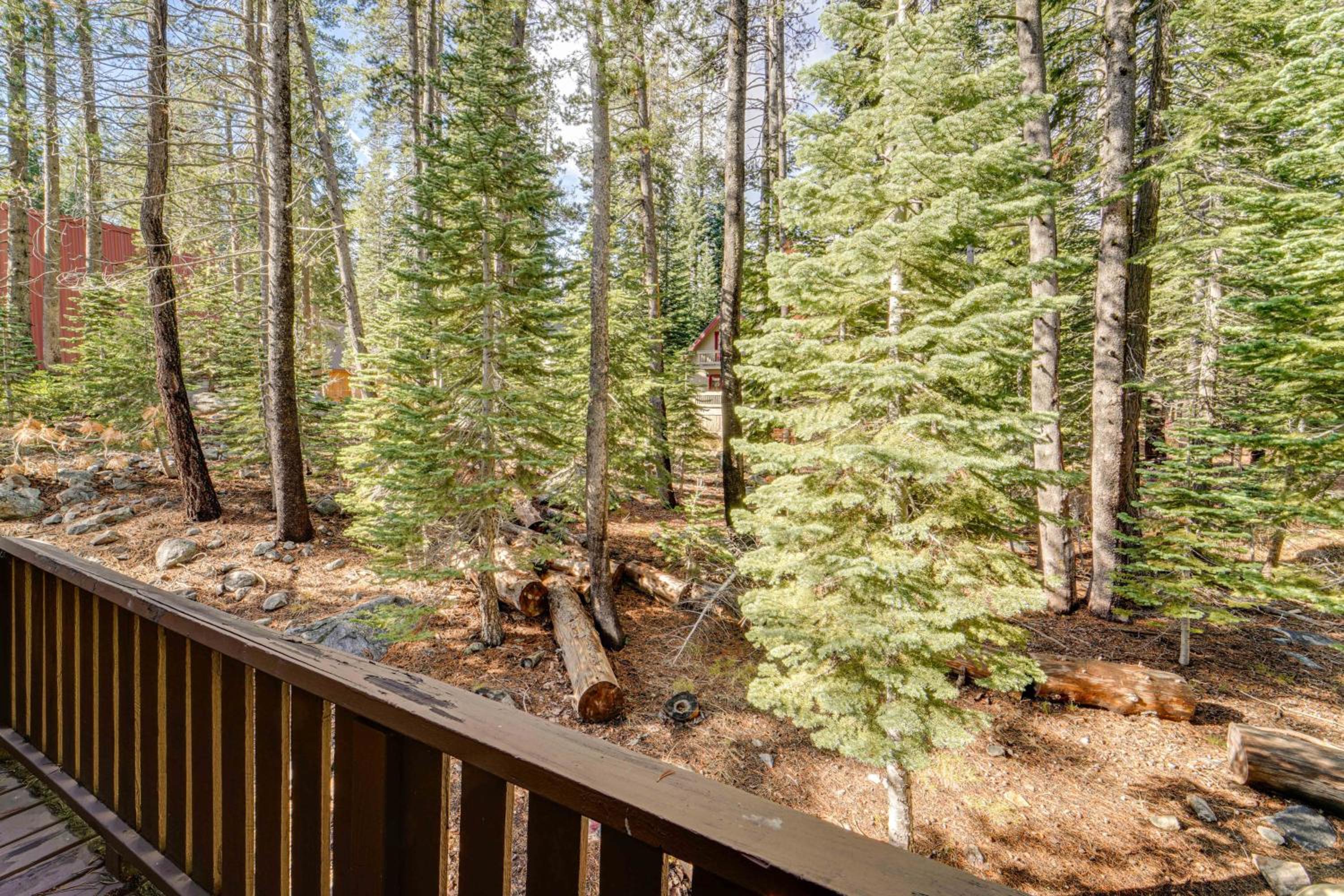 Near Slopes, Donner Lake and Trails! Woodsy Retreat