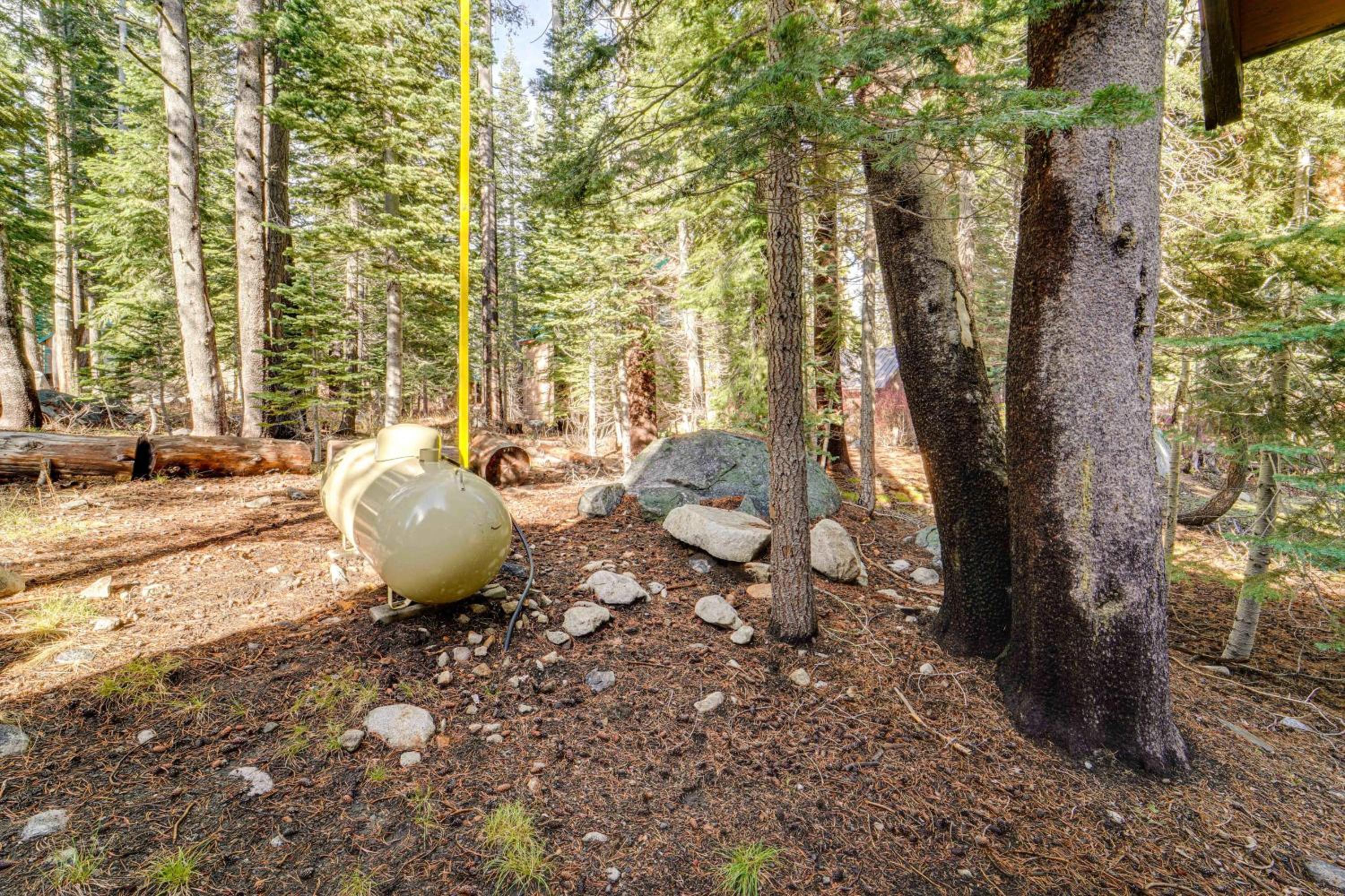 Near Slopes, Donner Lake and Trails! Woodsy Retreat