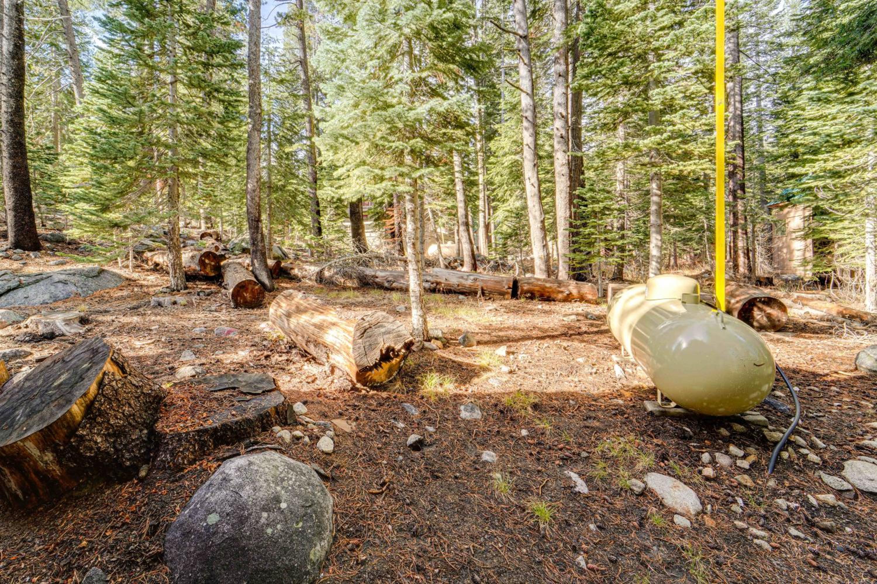 Near Slopes, Donner Lake and Trails! Woodsy Retreat