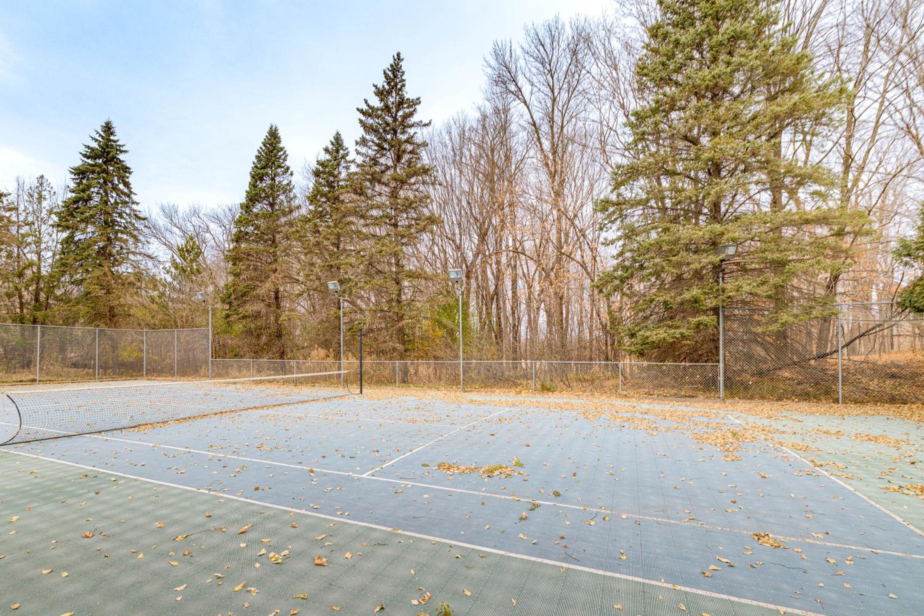 Luxe Long Lake Estate! Courts, Pool and Game Room