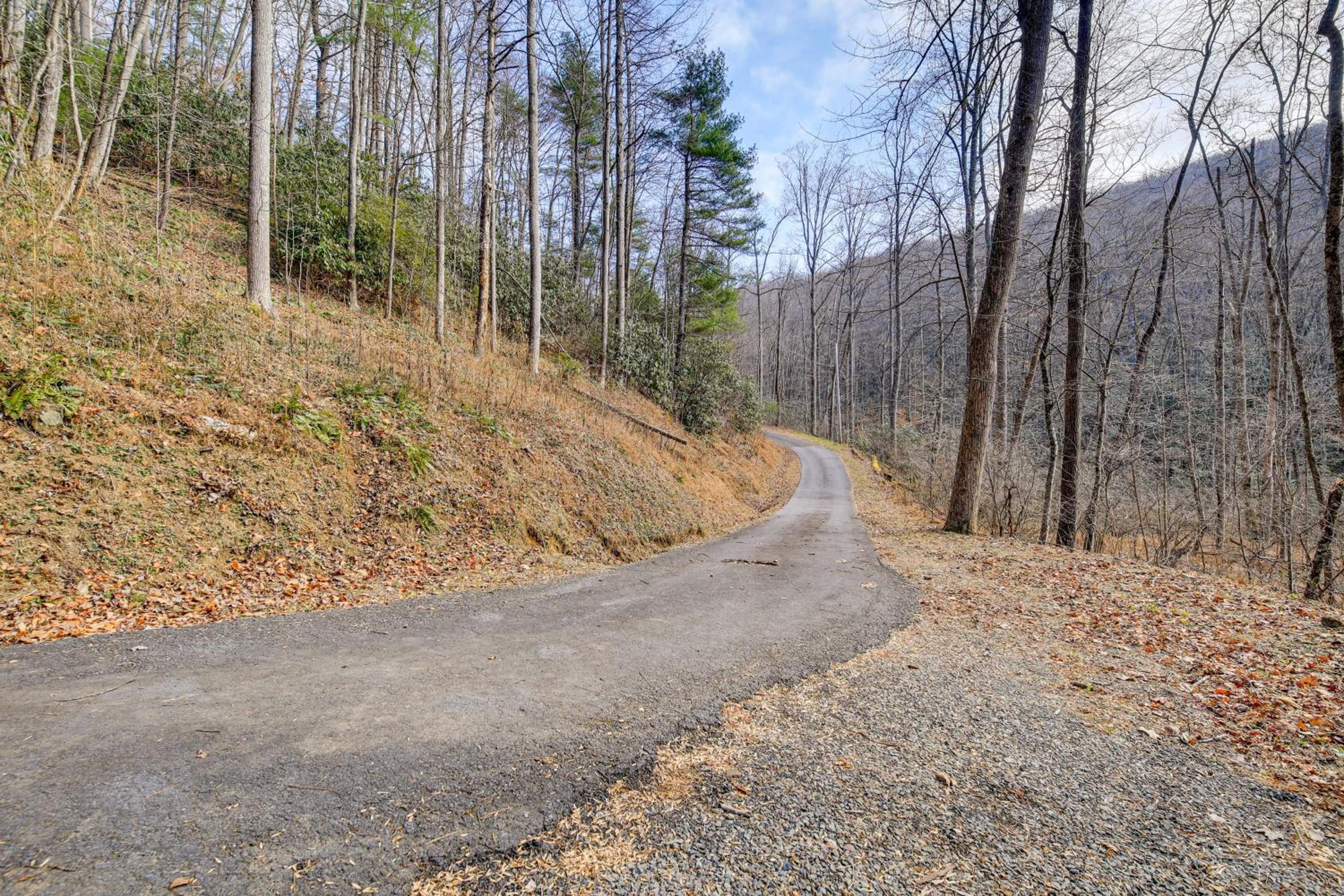 Stay By the Blue Ridge Parkway! Cozy Mtn Condo