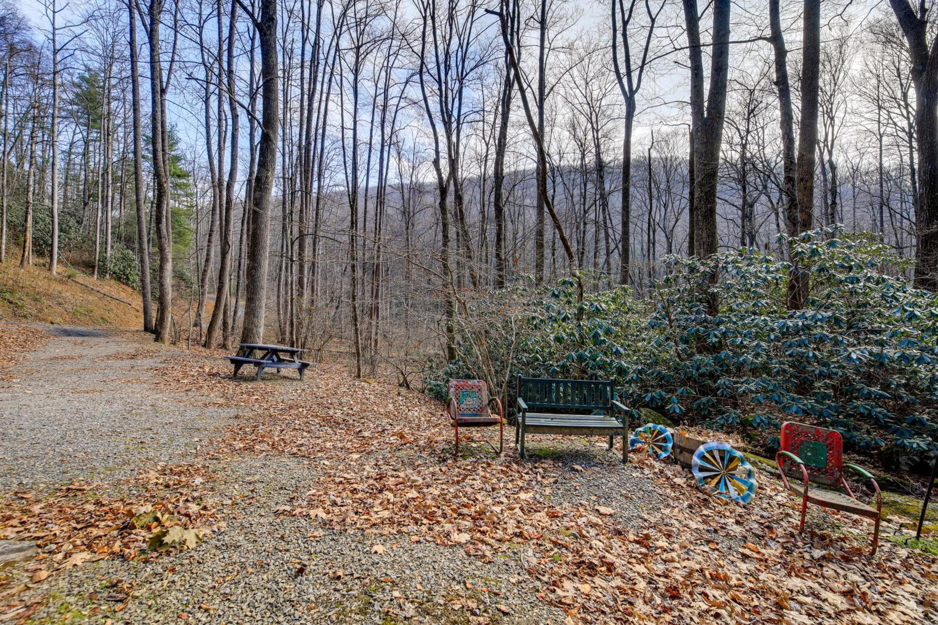 Stay By the Blue Ridge Parkway! Cozy Mtn Condo