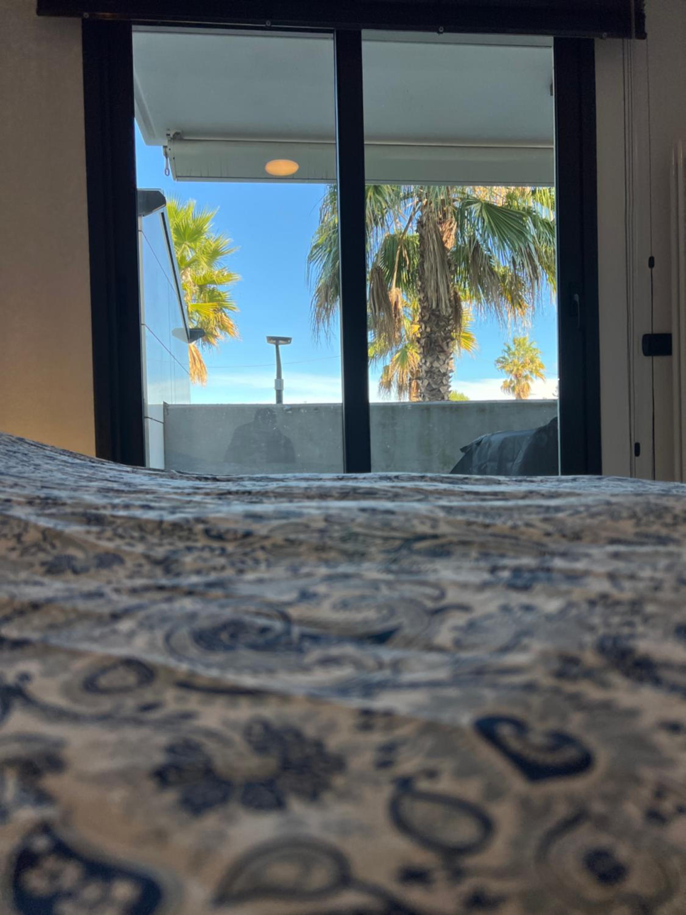 Palm Grove House con terrazzo e box privato
