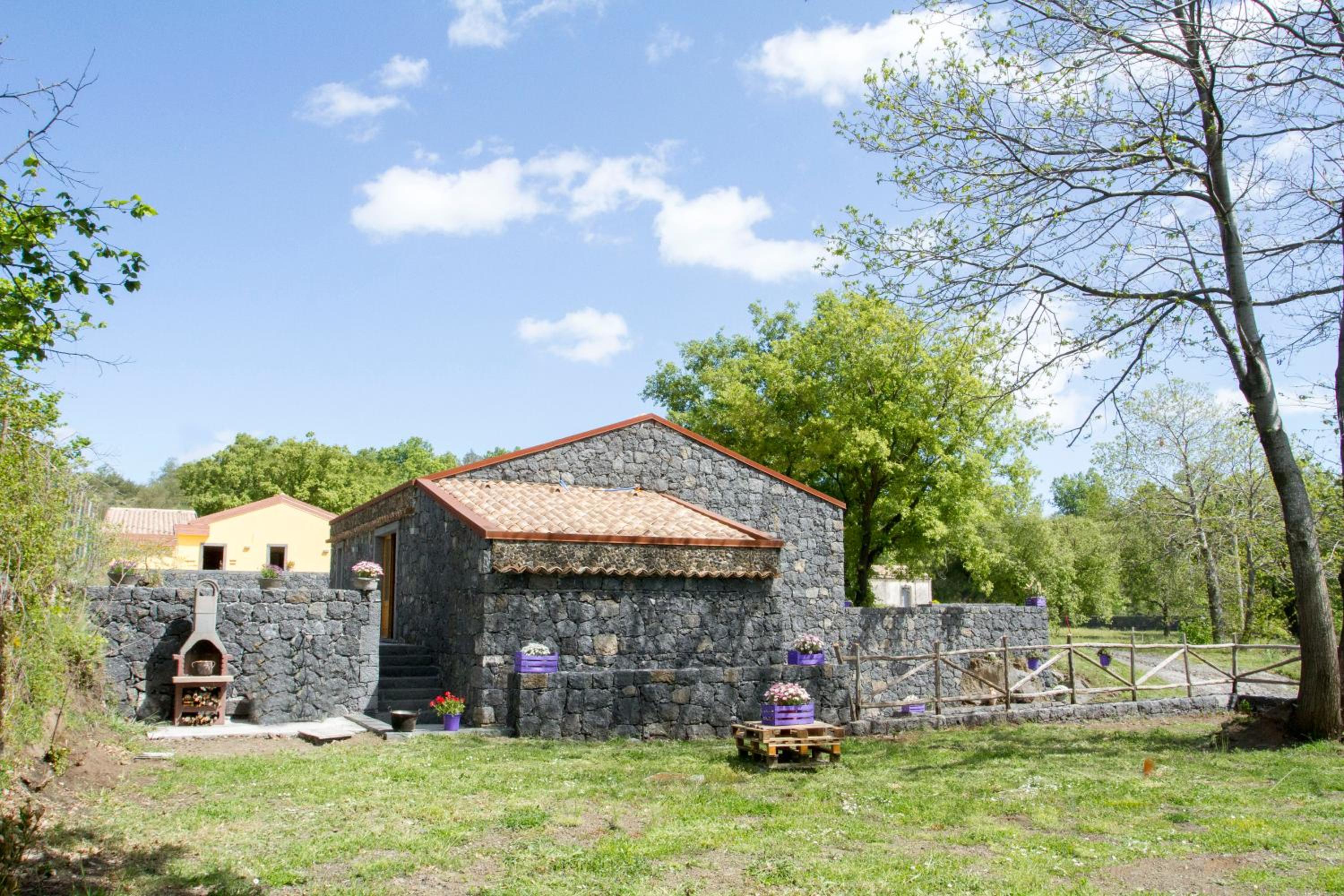 Viola Nel Parco