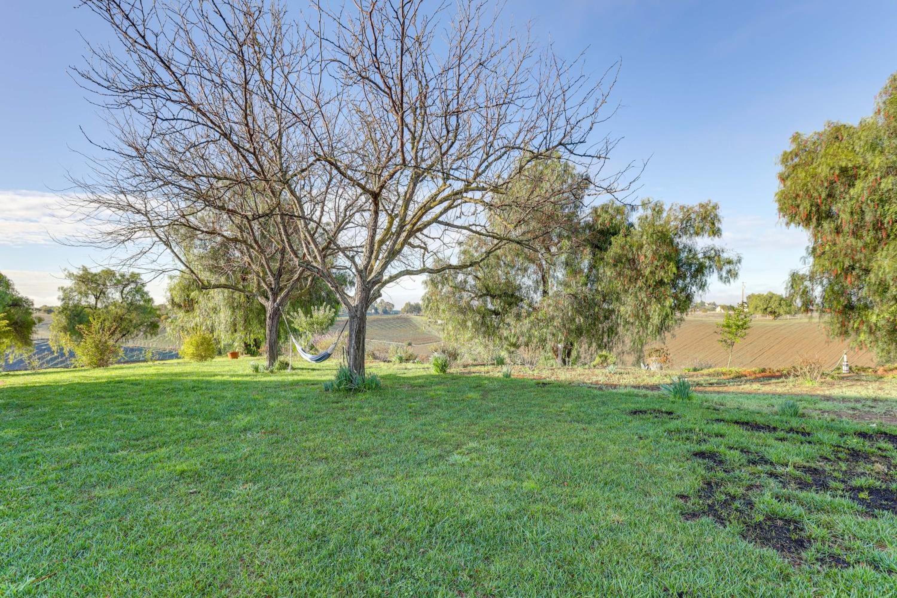 20 Acres in Wine Country! Central California Oasis