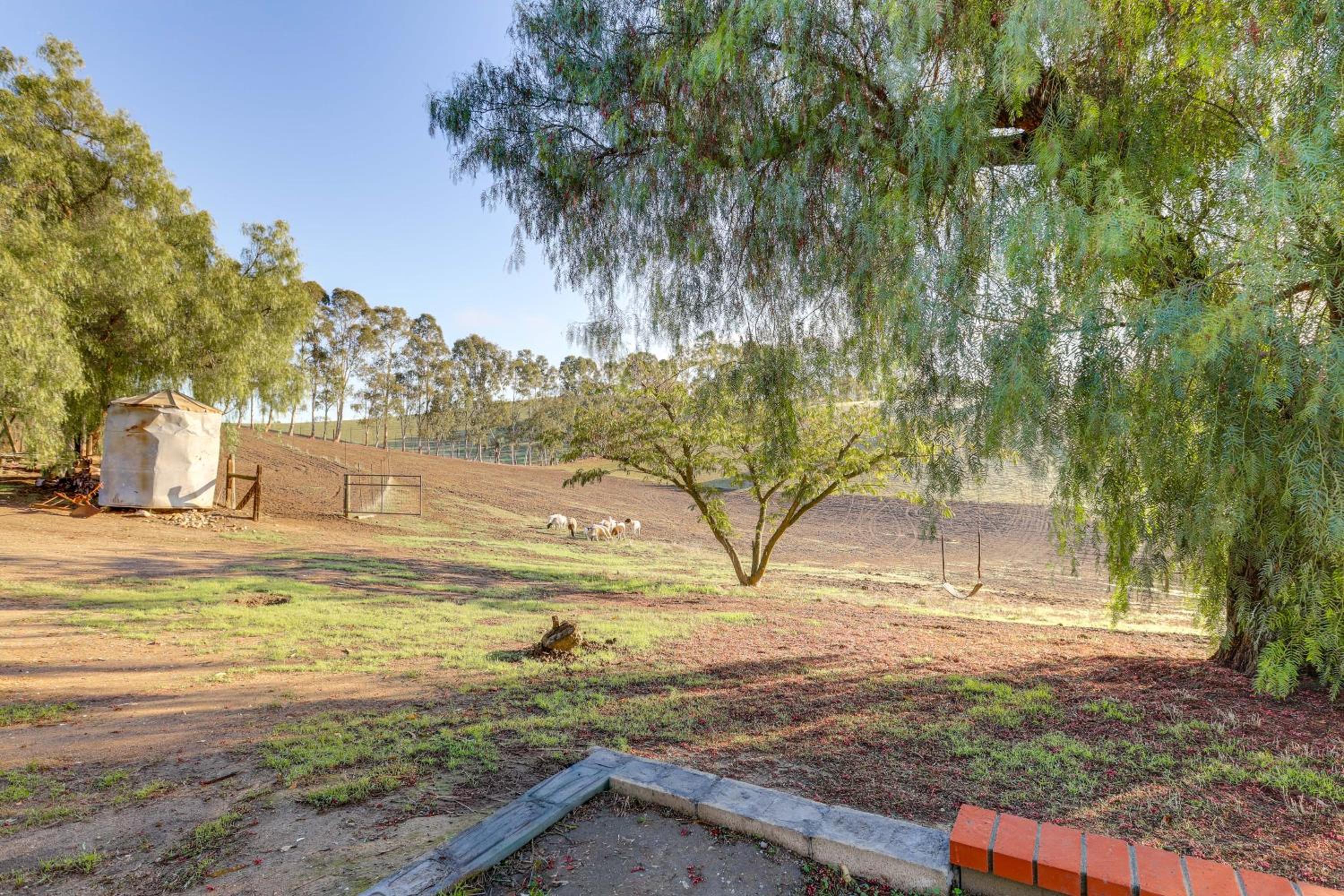 20 Acres in Wine Country! Central California Oasis