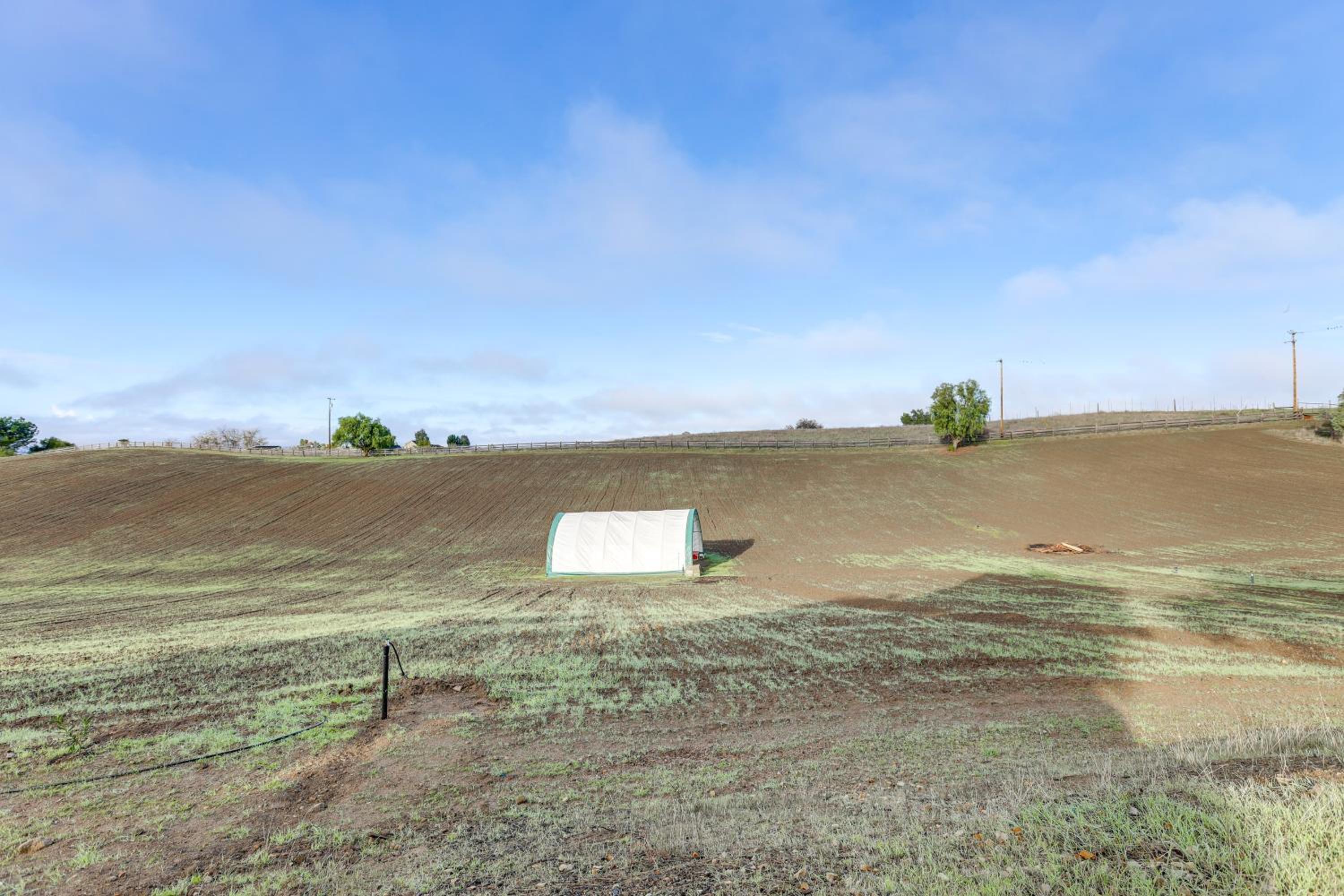 20 Acres in Wine Country! Central California Oasis