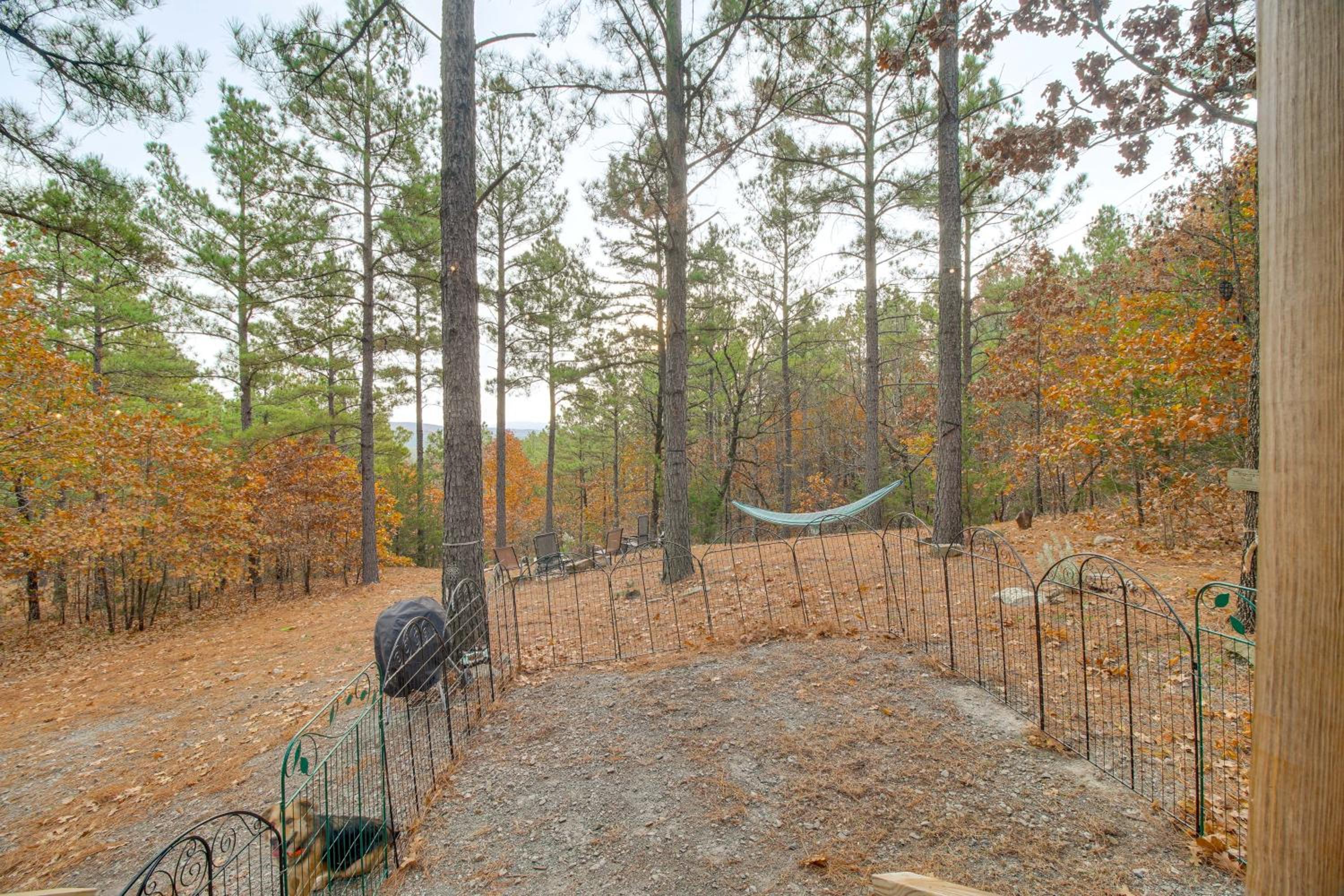 Hike the Ouachitas! Remote Mtn Hideaway with Trails