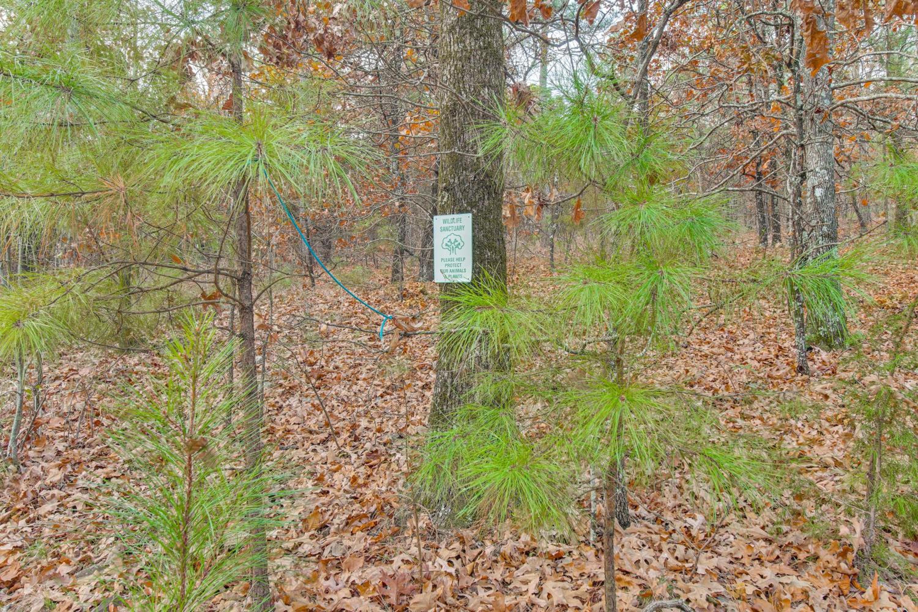 Hike the Ouachitas! Remote Mtn Hideaway with Trails