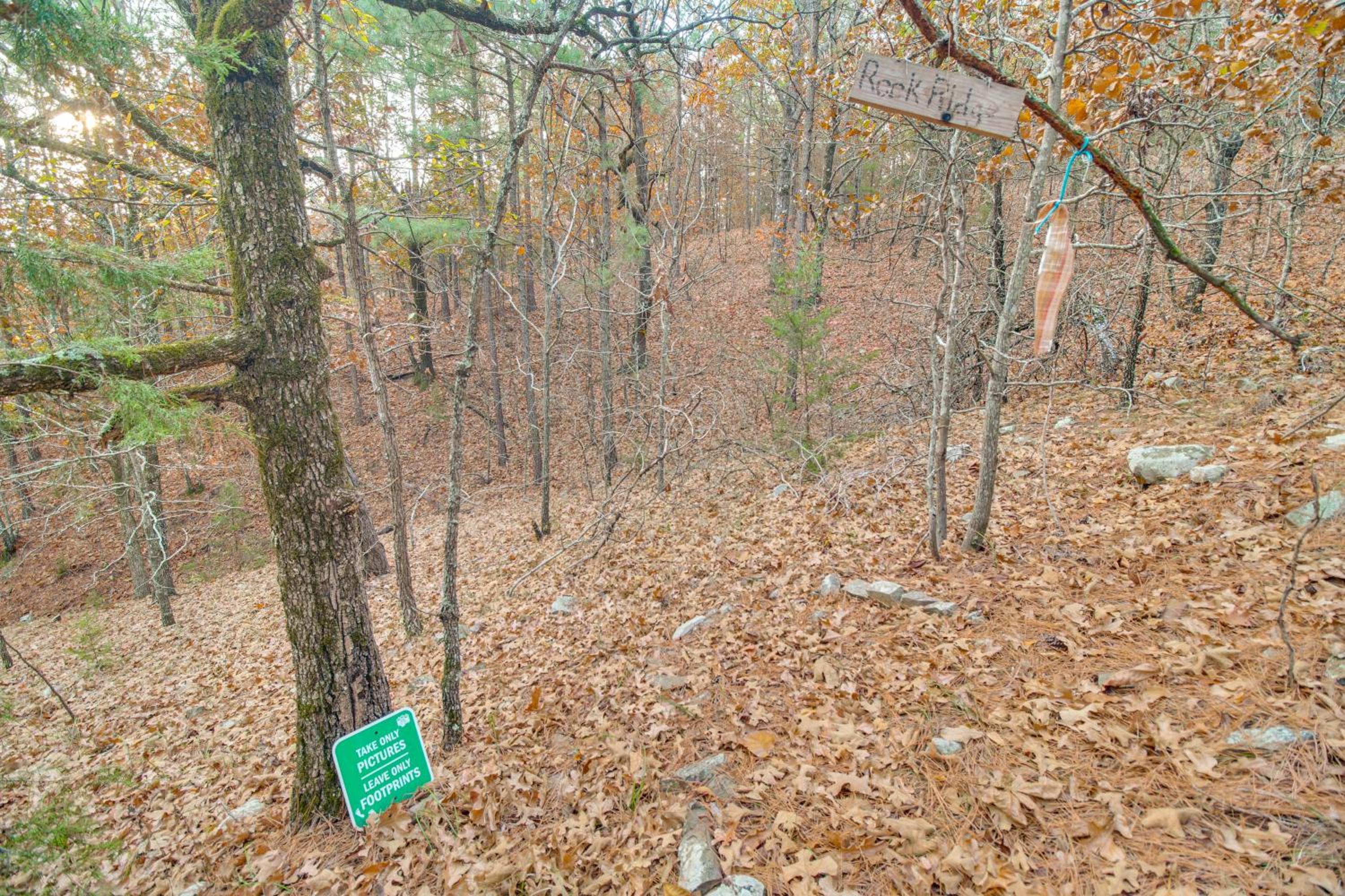Hike the Ouachitas! Remote Mtn Hideaway with Trails