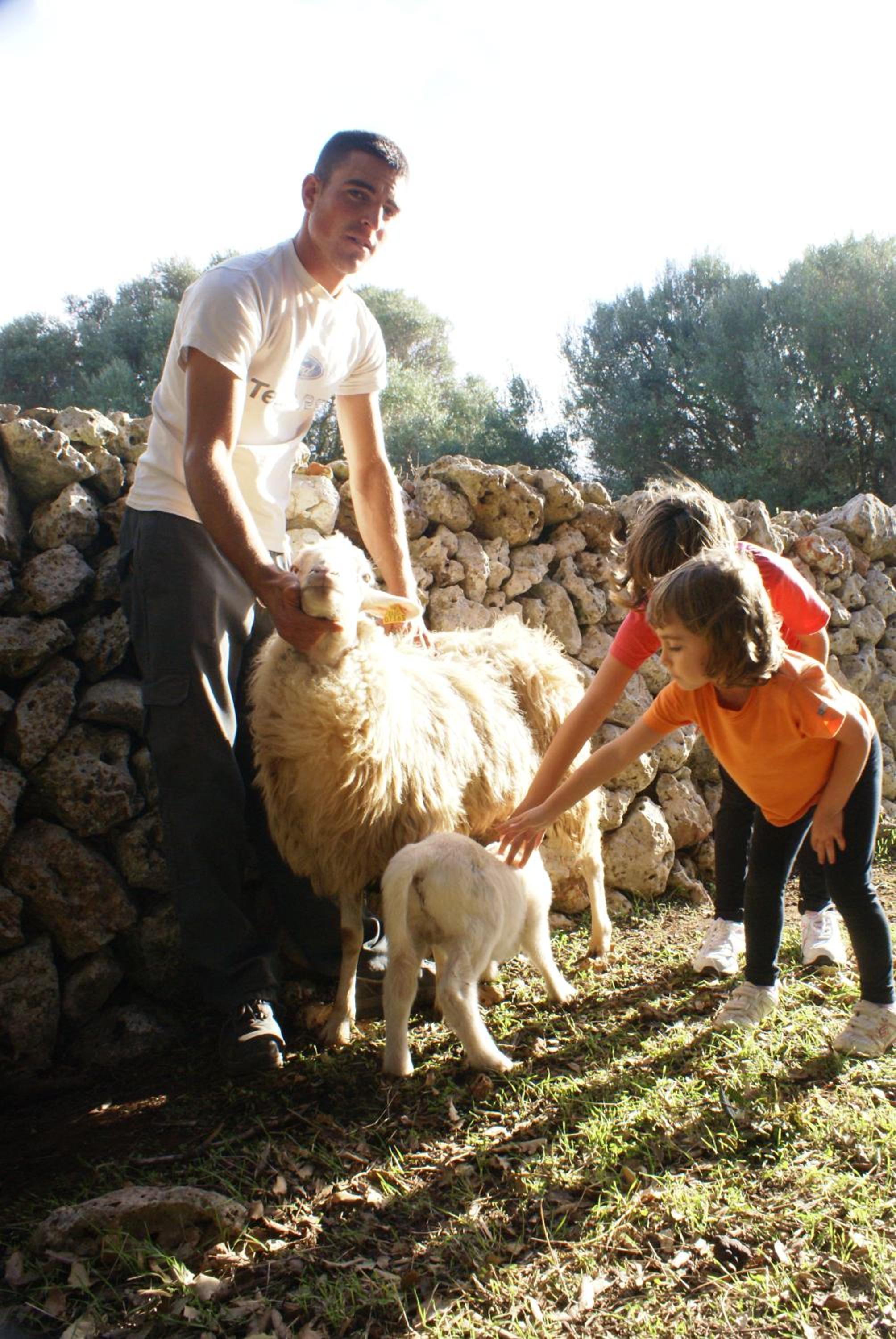 Llucmaçanes Gran Agroturismo