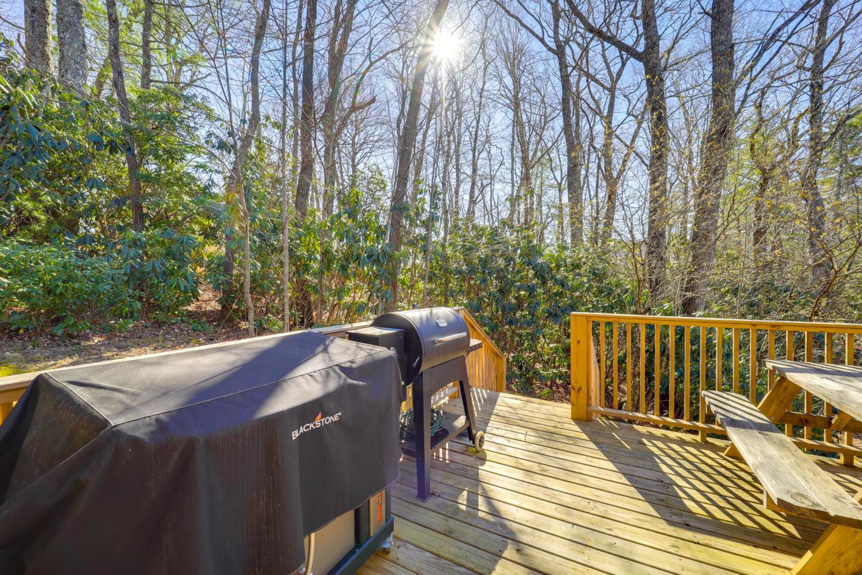 Less Than 1 Mi to Linville Falls Family Gem with Game Room!