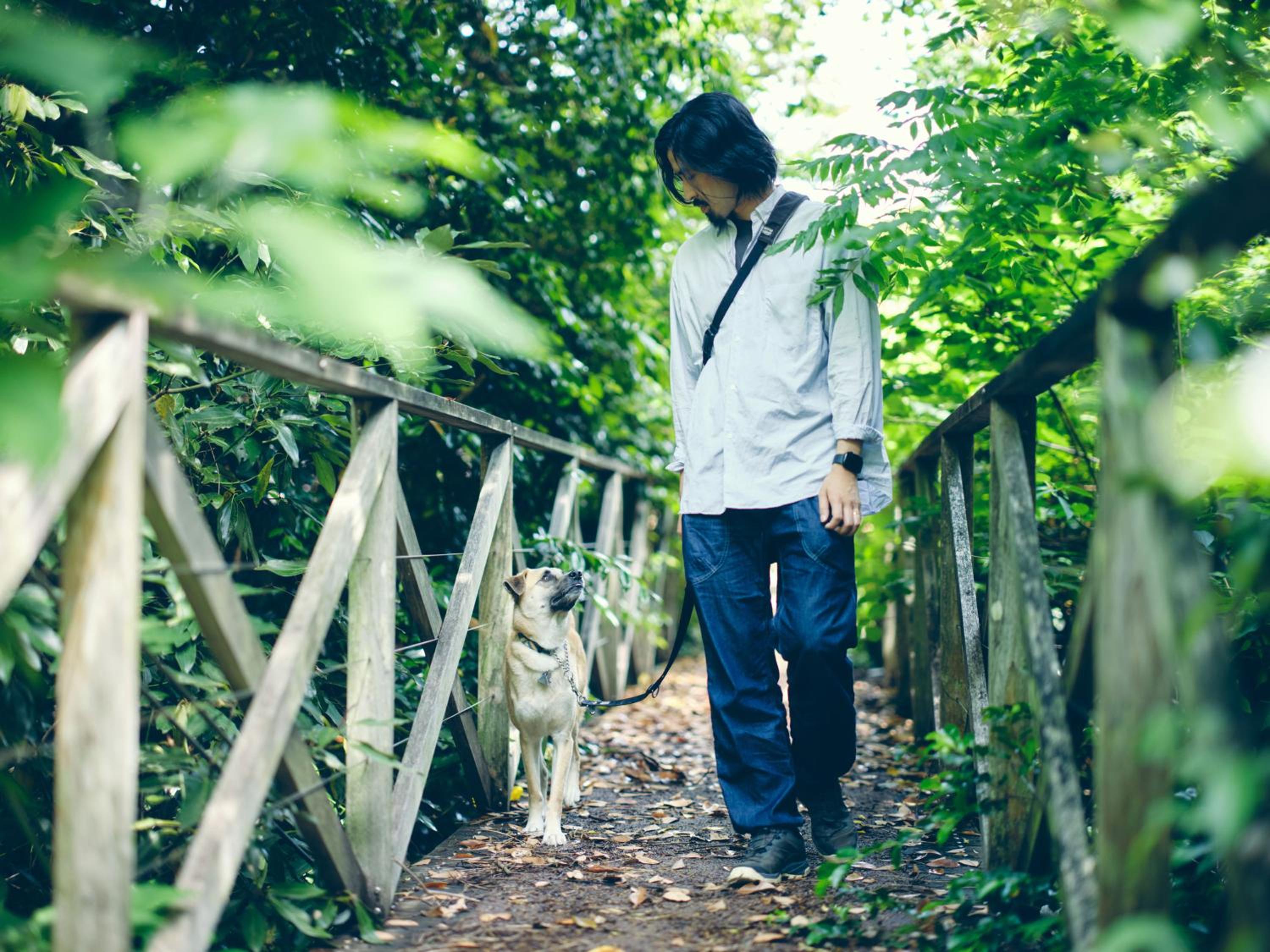 SANU 2nd Home Izu 1st