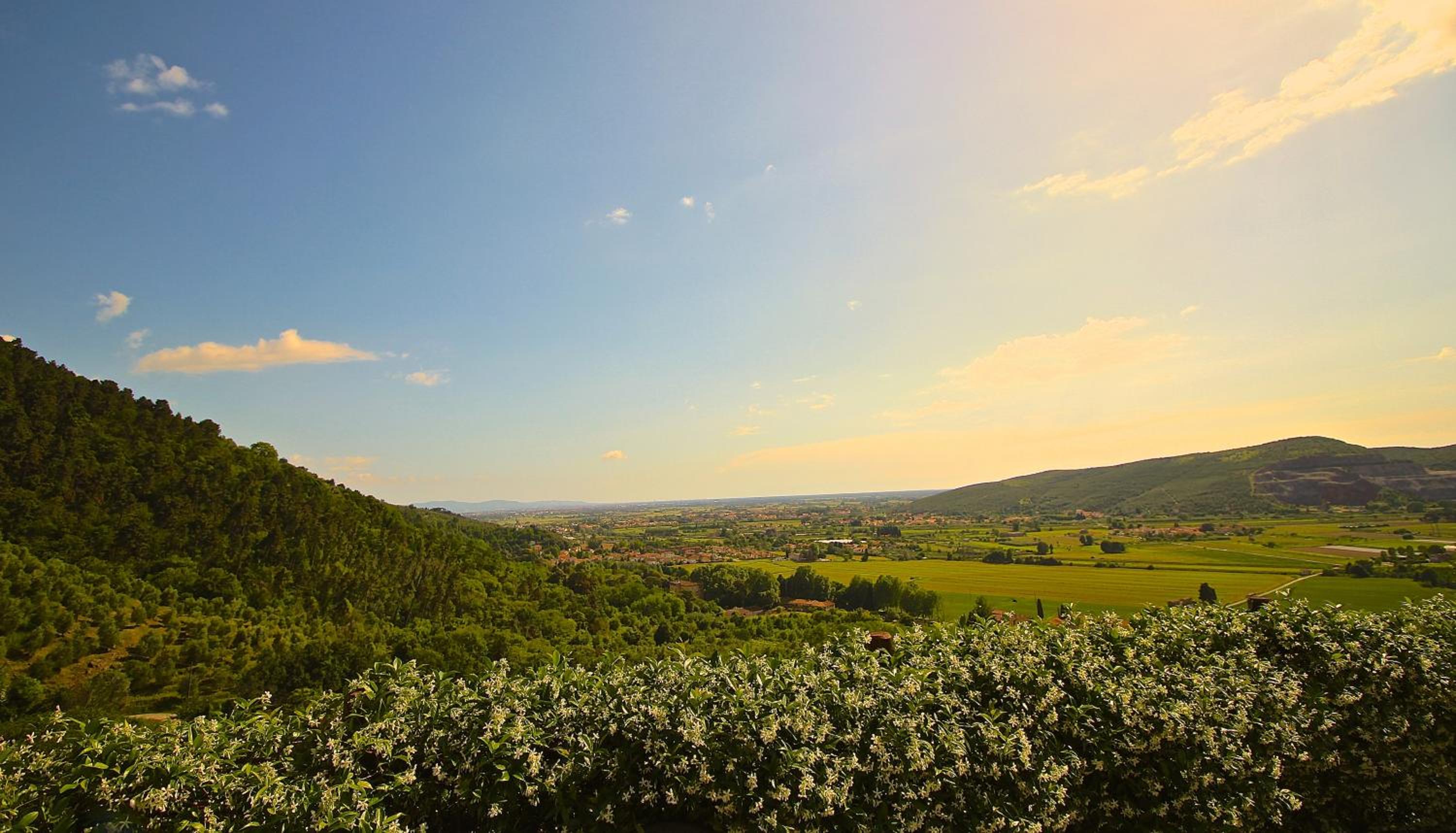 La Lucertola