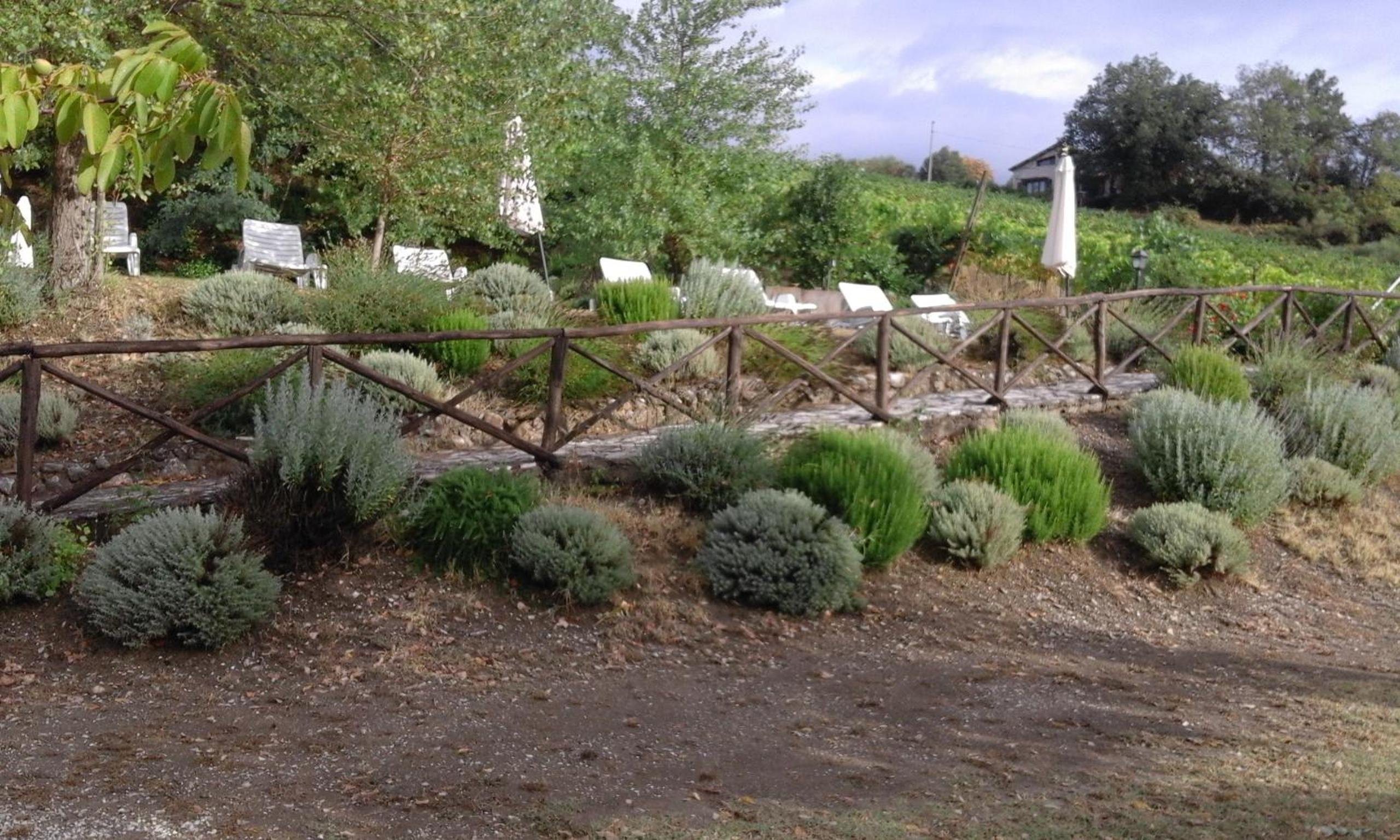 Photo 22
