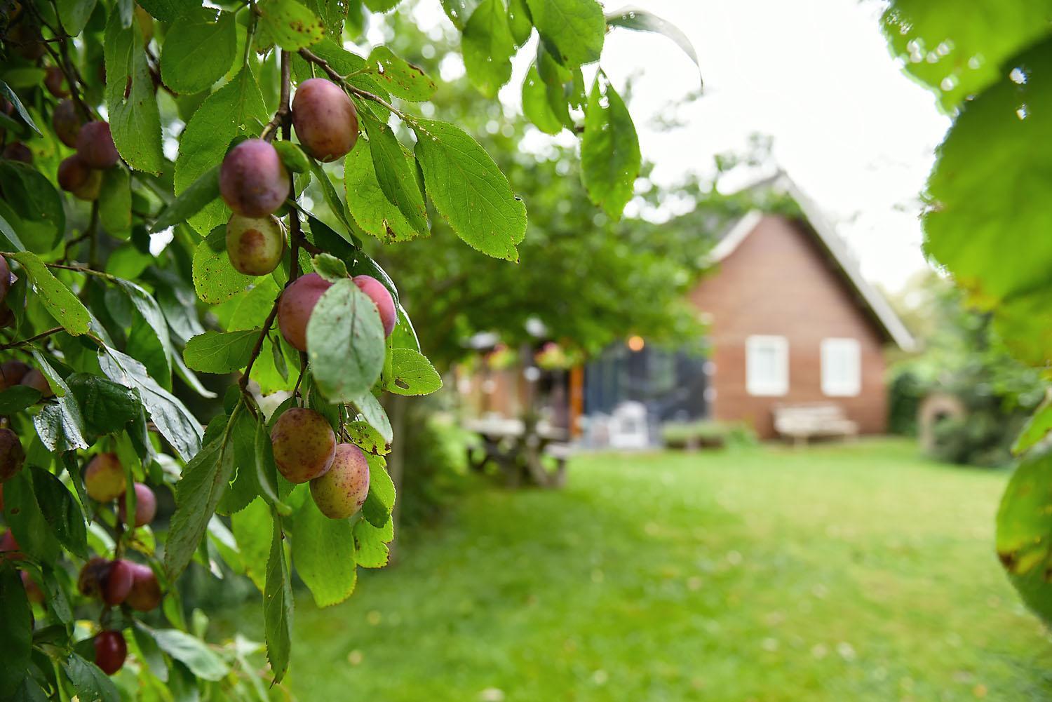 Photo 27