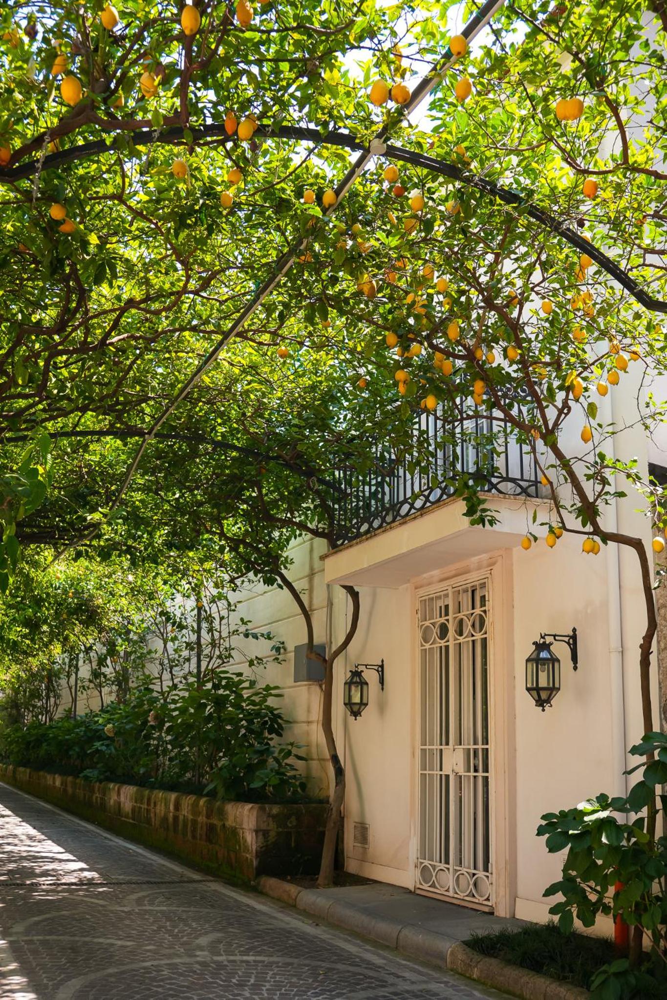 Villa Magnolia