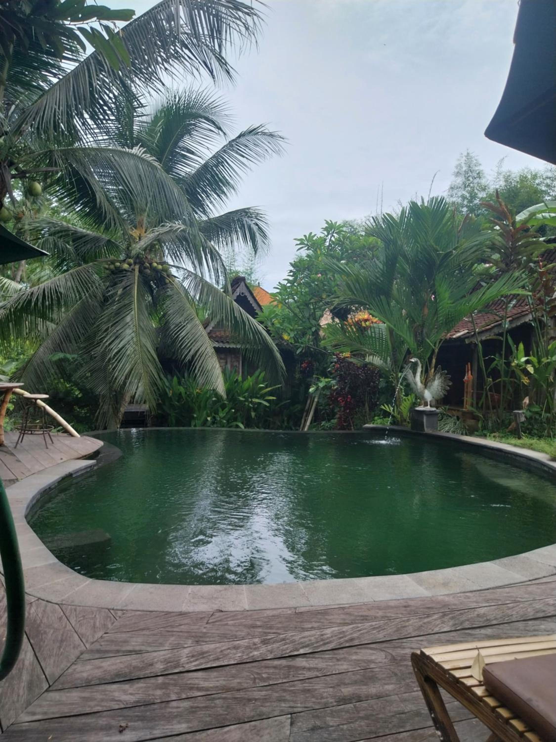 Swarma Villas Eco Jungle Retreat
