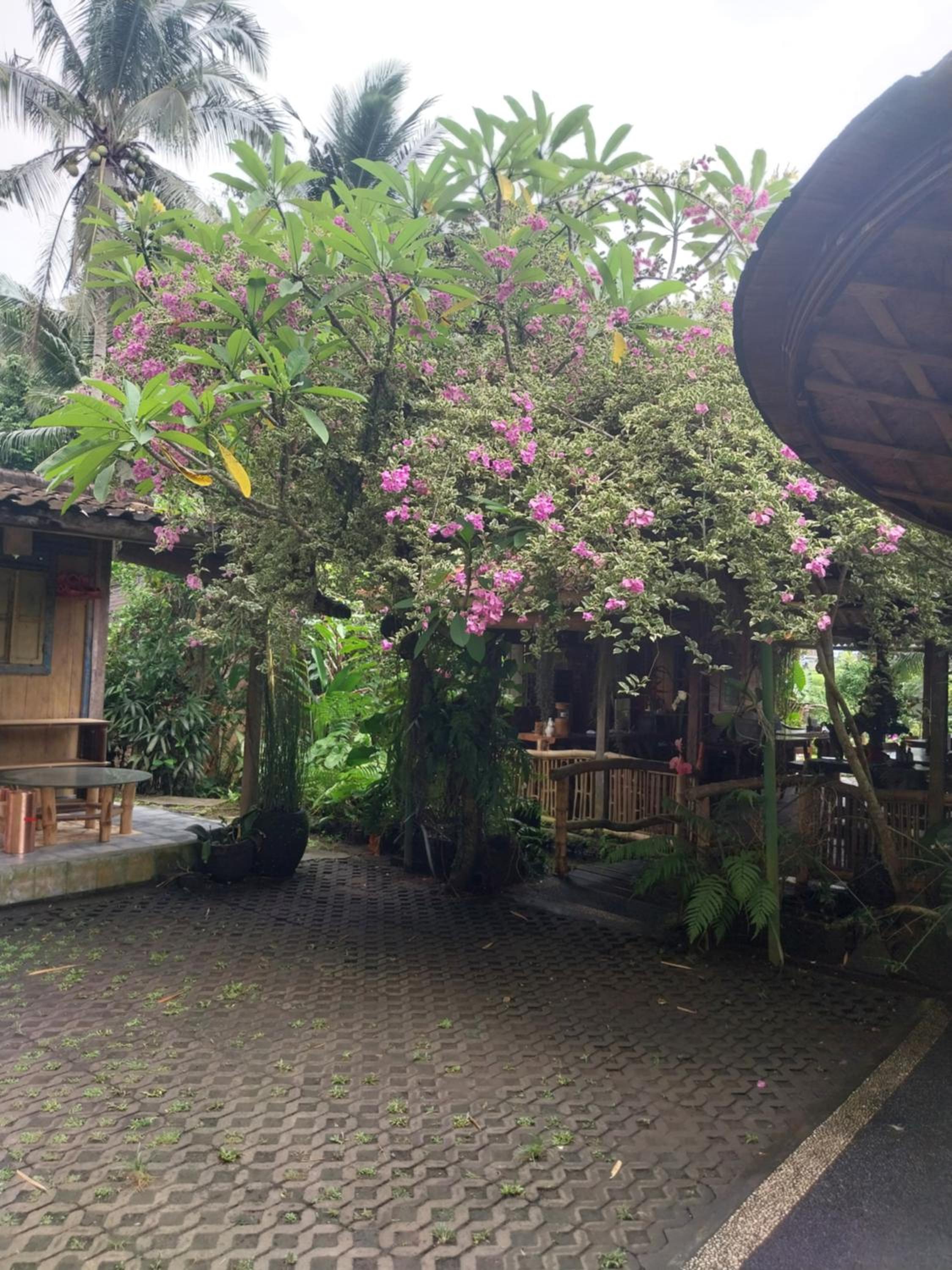 Swarma Villas Eco Jungle Retreat