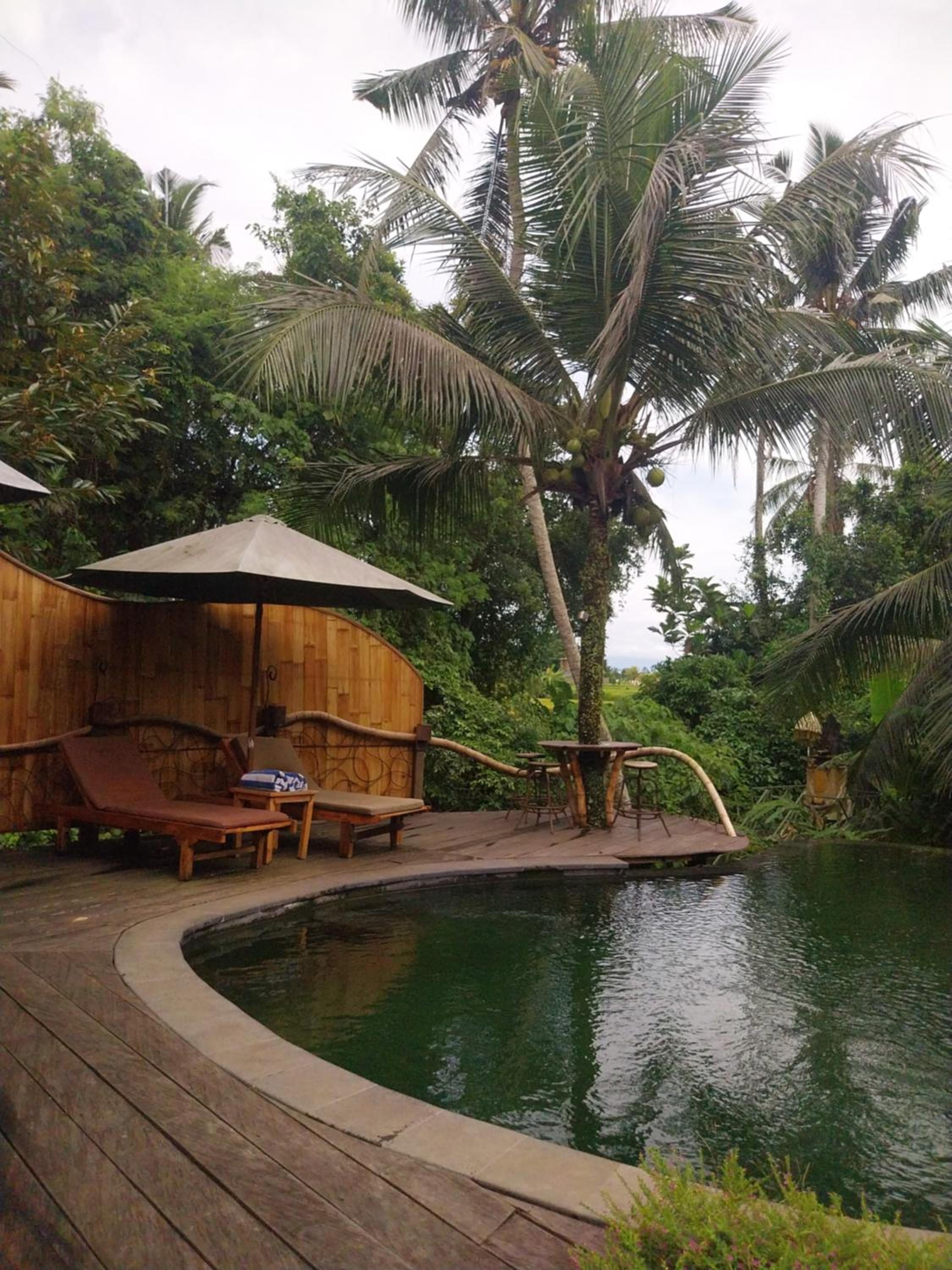 Swarma Villas Eco Jungle Retreat