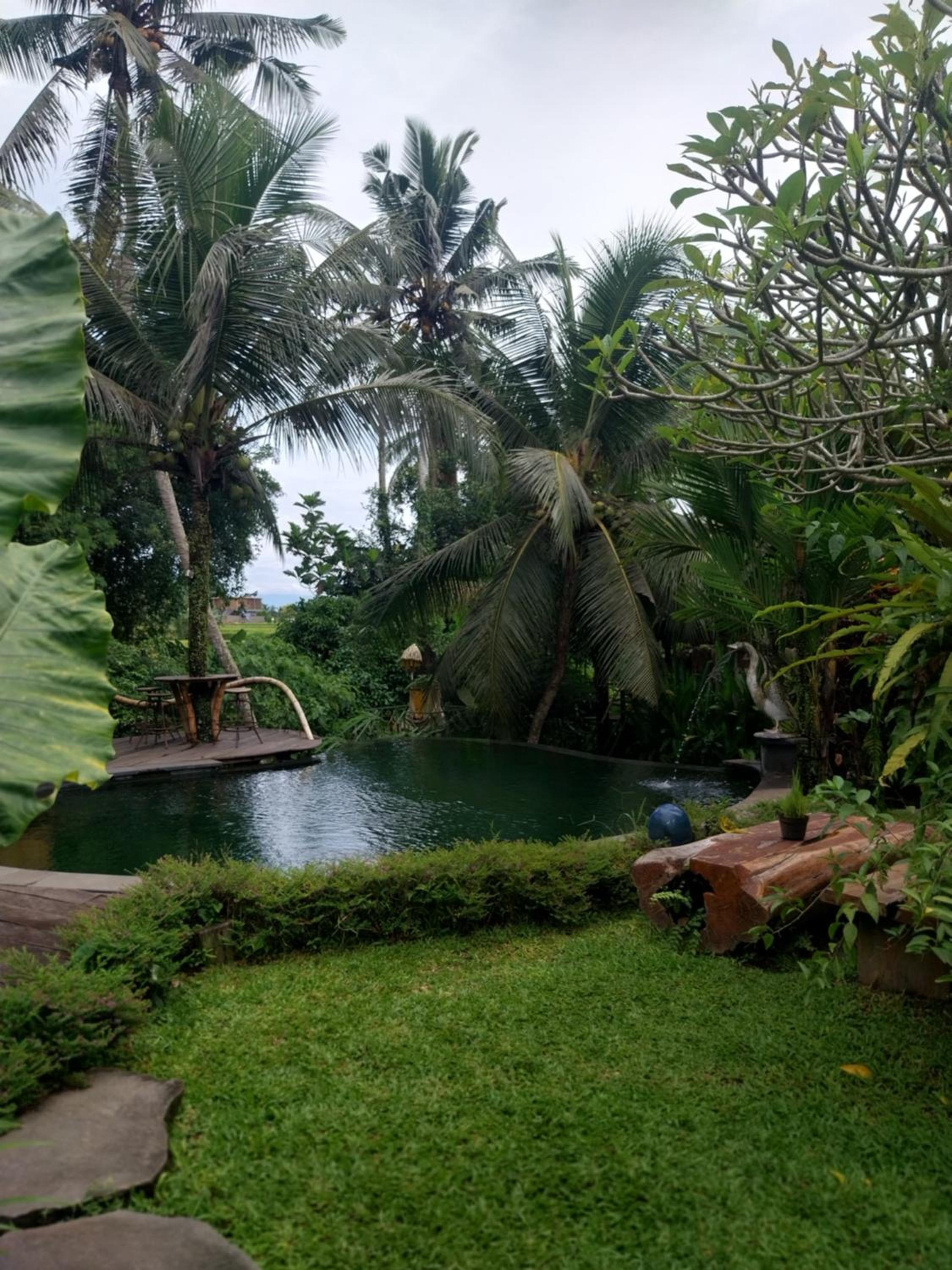Swarma Villas Eco Jungle Retreat
