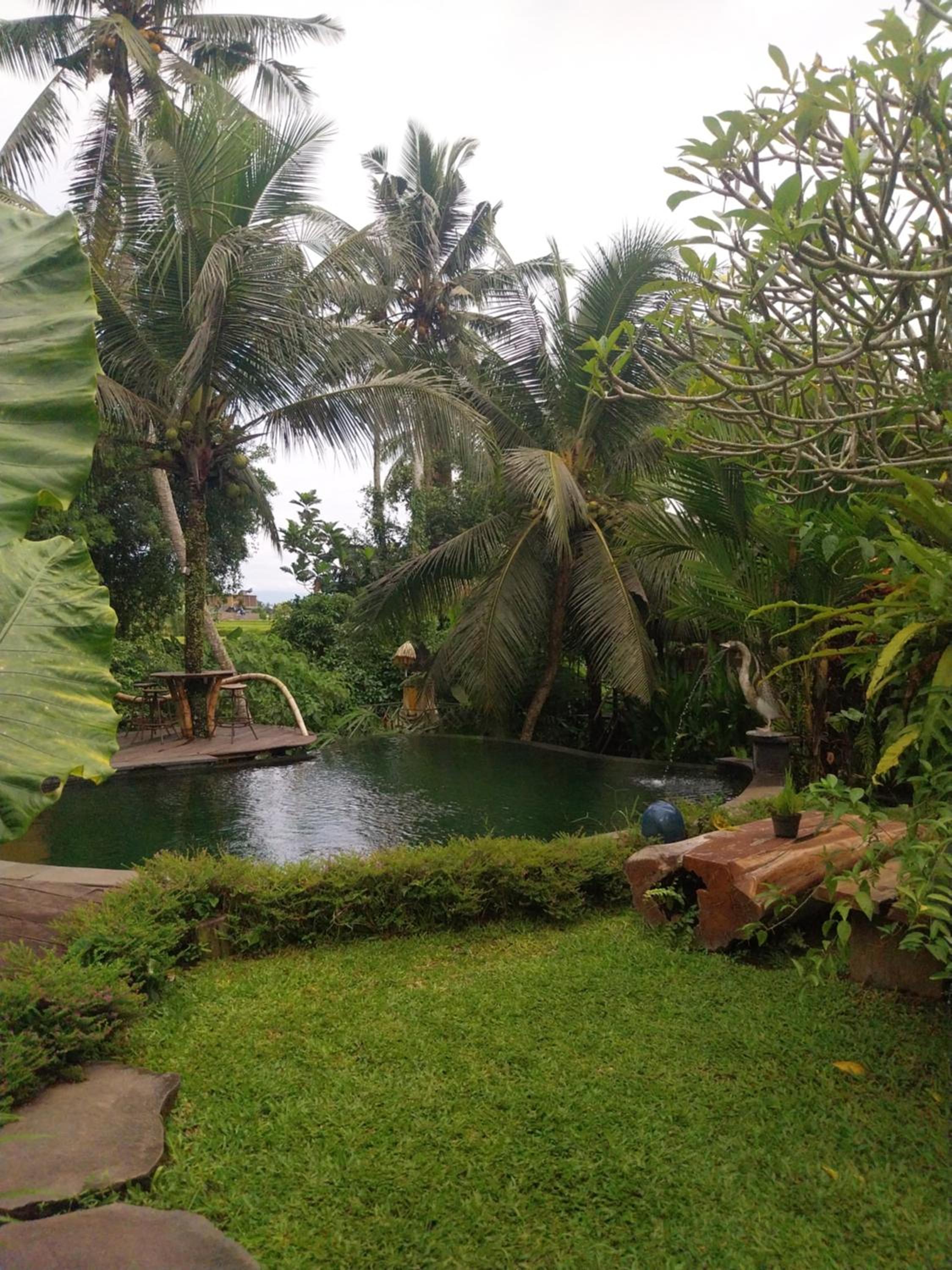 Swarma Villas Eco Jungle Retreat