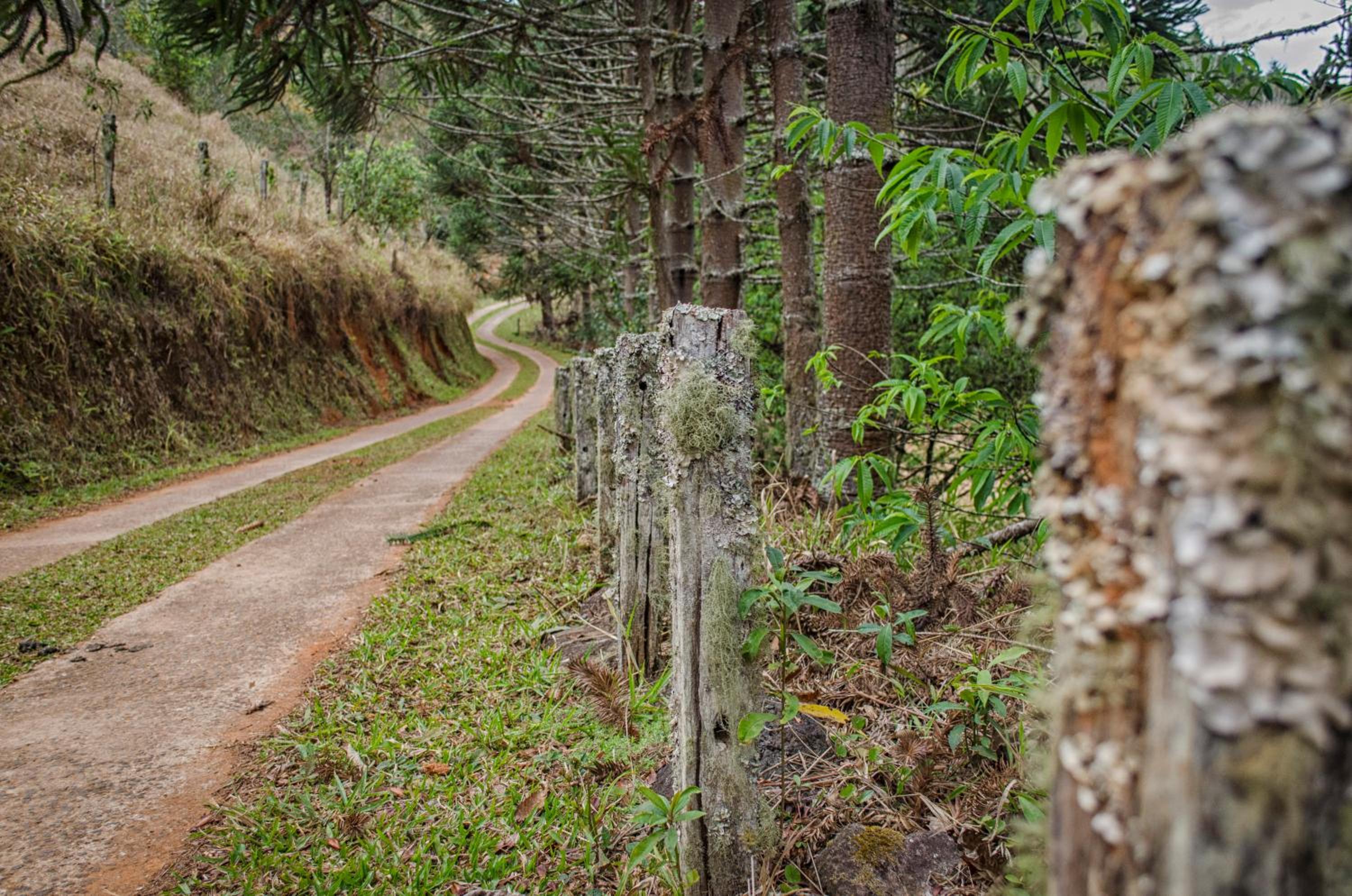 Pousada A Casa da Fazenda