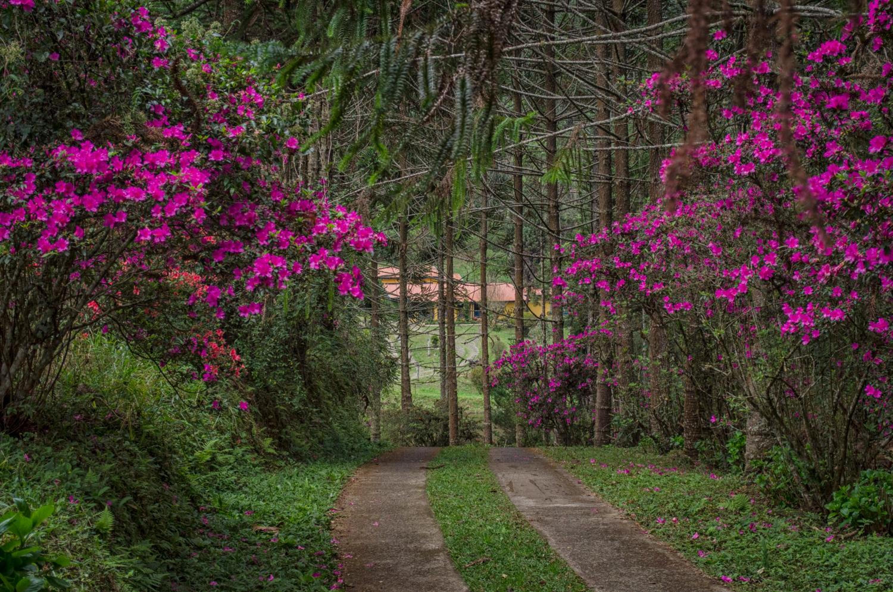 Pousada A Casa da Fazenda