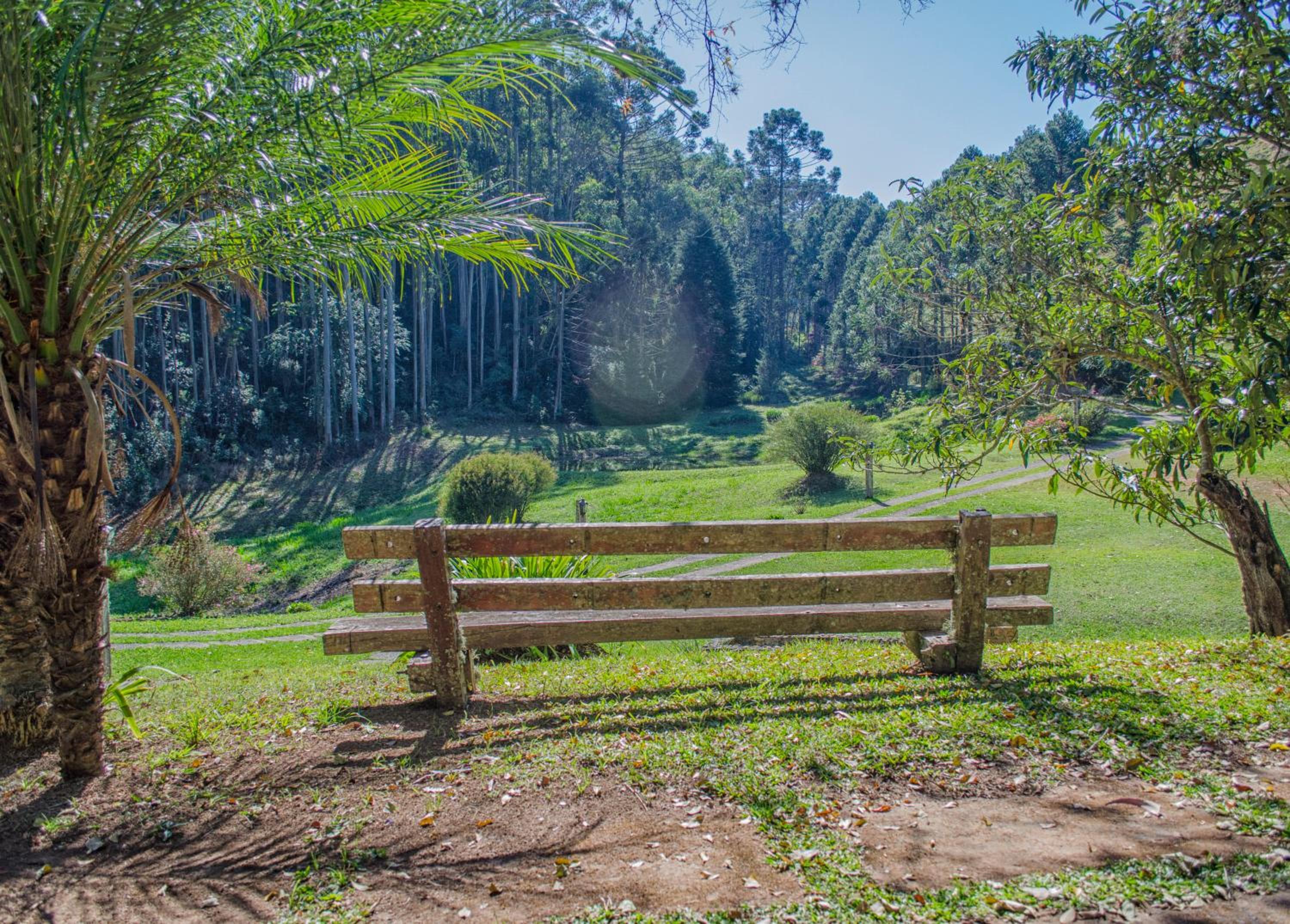 Pousada A Casa da Fazenda