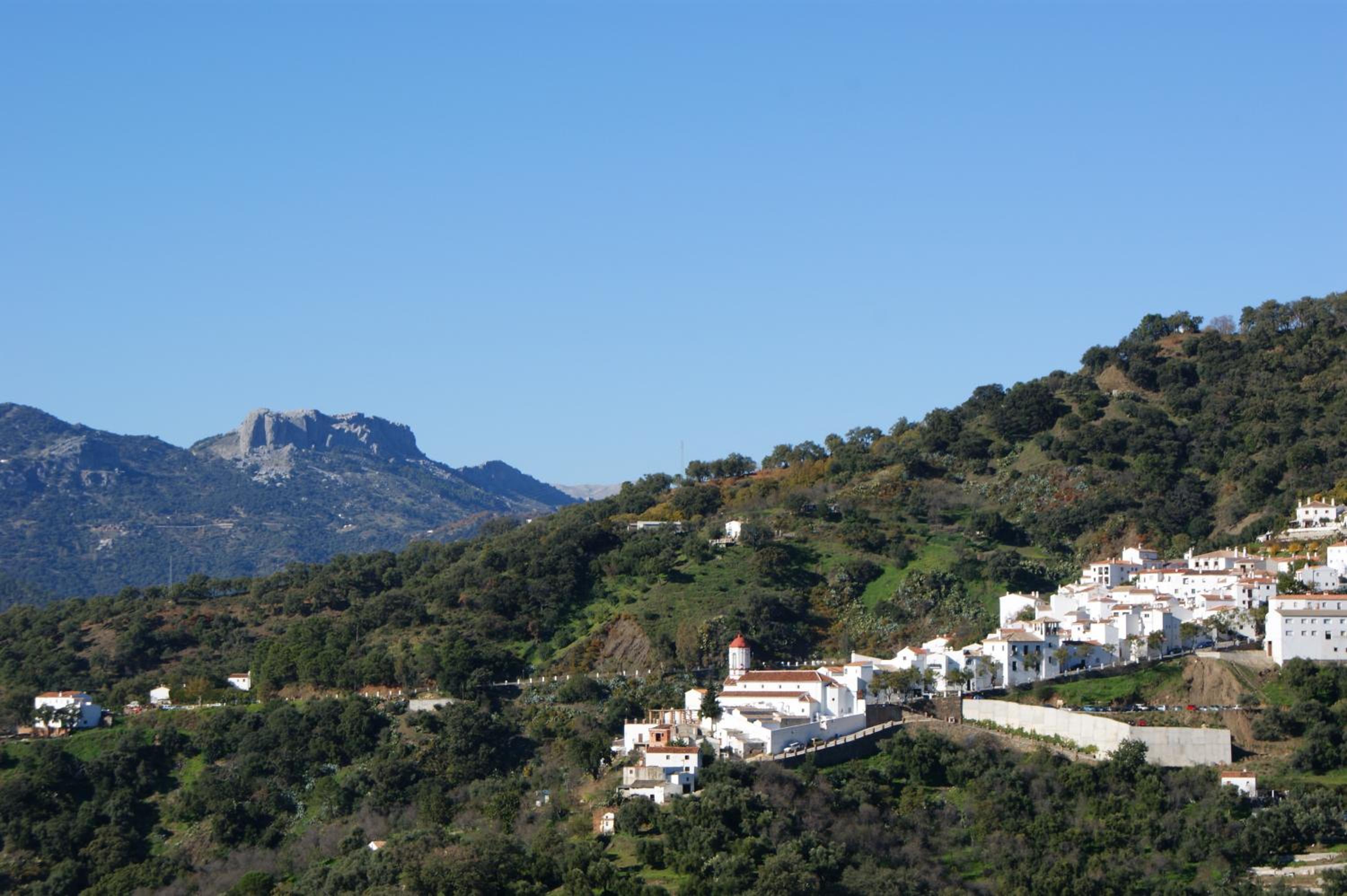 Casas Rurales Jardines del Visir