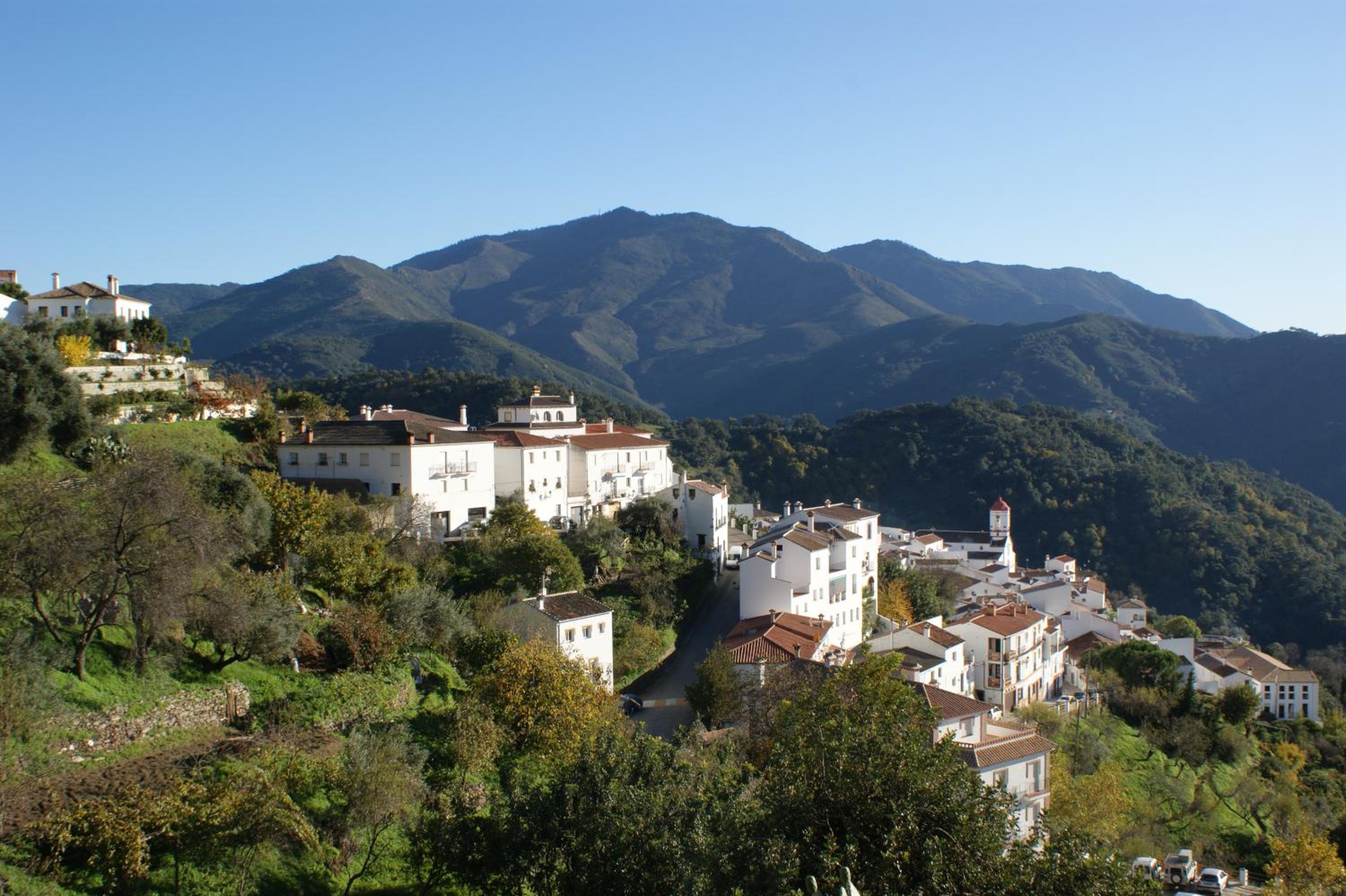 Casas Rurales Jardines del Visir